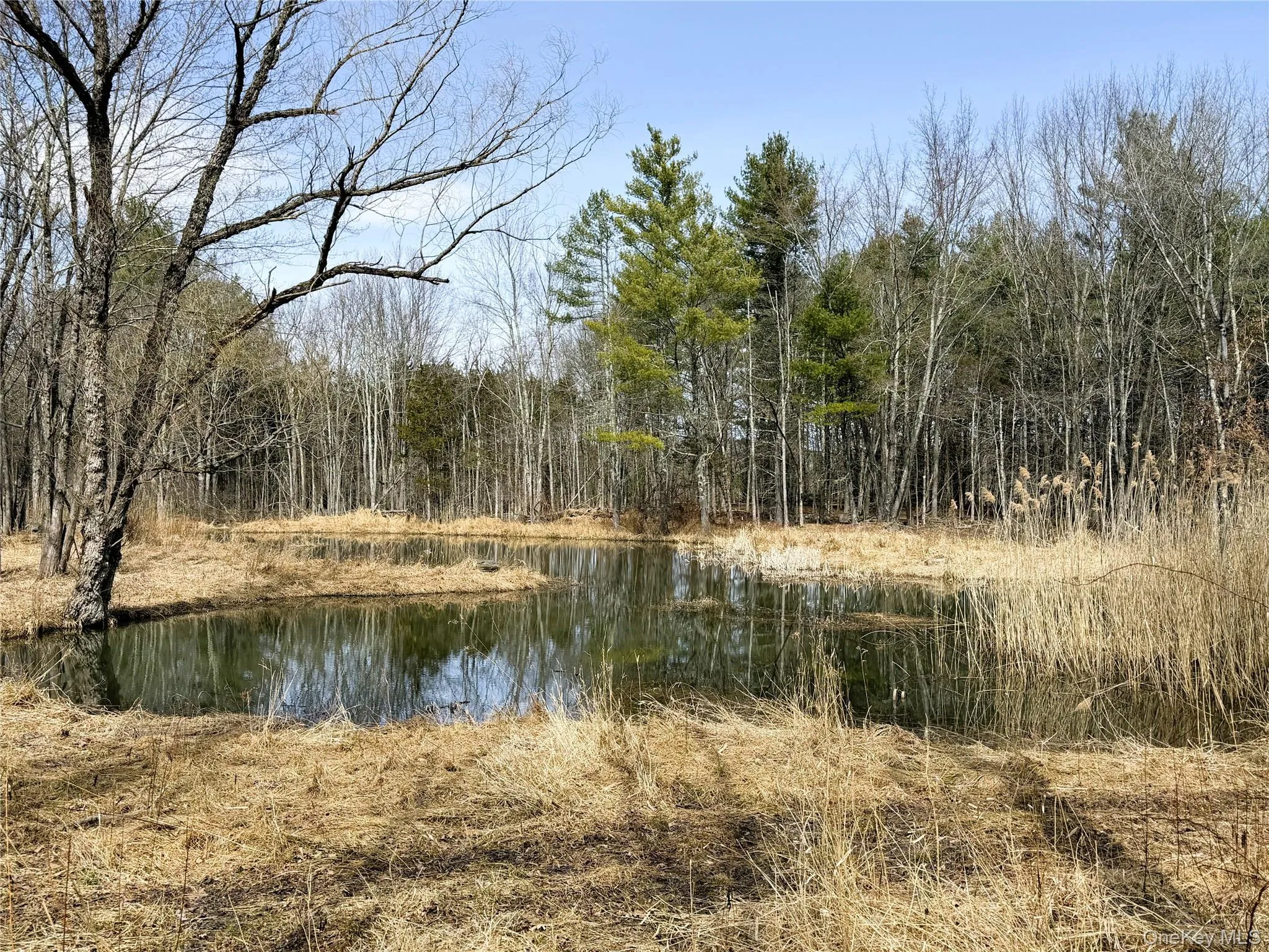 TBD Frank Hitchcock Road, Cairo, NY, ,Land,For Rent,Frank Hitchcock,0,980137 TBD Frank Hitchcock Road, Cairo, NY, ,Land,For Rent,Frank Hitchcock,0,980137