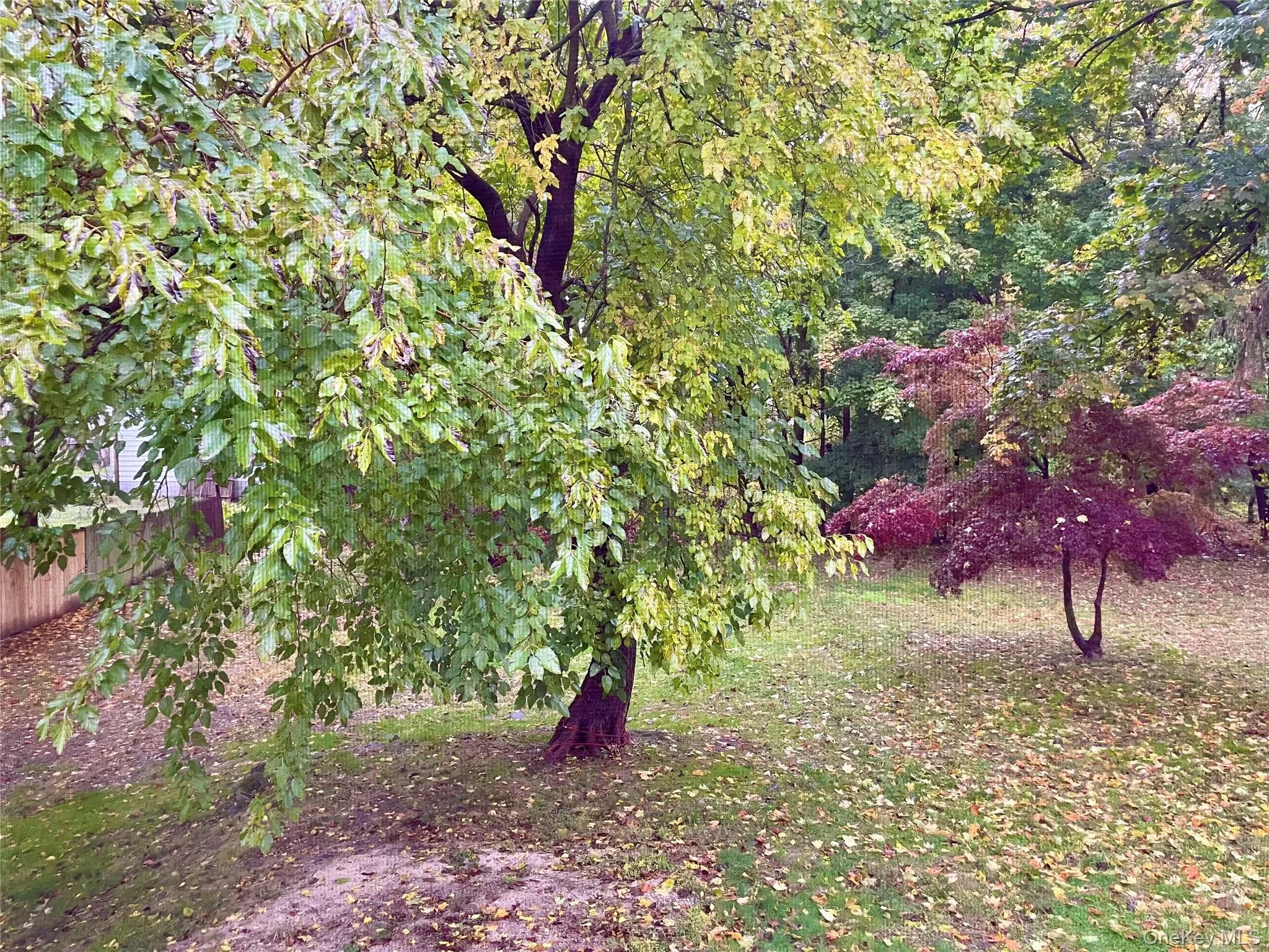 90 Innis Avenue, Poughkeepsie, NY, 2 Bedrooms Bedrooms, 5 Rooms Rooms,1 BathroomBathrooms,Residential Lease,For Rent,Innis,0,980175 90 Innis Avenue, Poughkeepsie, NY, 2 Bedrooms Bedrooms, 5 Rooms Rooms,1 BathroomBathrooms,Residential Lease,For Rent,Innis,0,980175