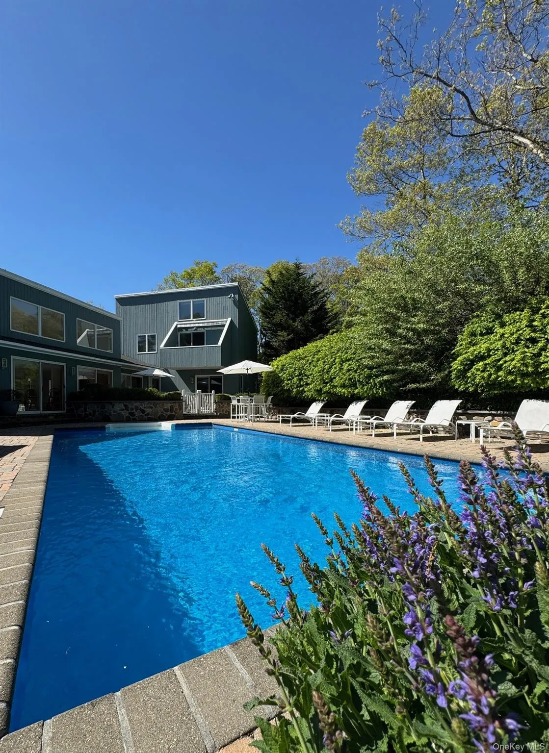 26 Woodedge Trail, Southampton, NY, 4 Bedrooms Bedrooms, 9 Rooms Rooms,3 BathroomsBathrooms,Residential Lease,For Rent,Woodedge,0,980259 26 Woodedge Trail, Southampton, NY, 4 Bedrooms Bedrooms, 9 Rooms Rooms,3 BathroomsBathrooms,Residential Lease,For Rent,Woodedge,0,980259