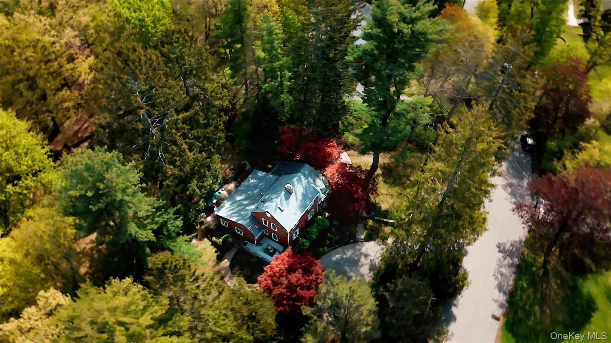 9 Sloehidden Road, Mount Pleasant, NY, 3 Bedrooms Bedrooms, 10 Rooms Rooms,1 BathroomBathrooms,Residential,For Rent,Sloehidden,0,980262 9 Sloehidden Road, Mount Pleasant, NY, 3 Bedrooms Bedrooms, 10 Rooms Rooms,1 BathroomBathrooms,Residential,For Rent,Sloehidden,0,980262