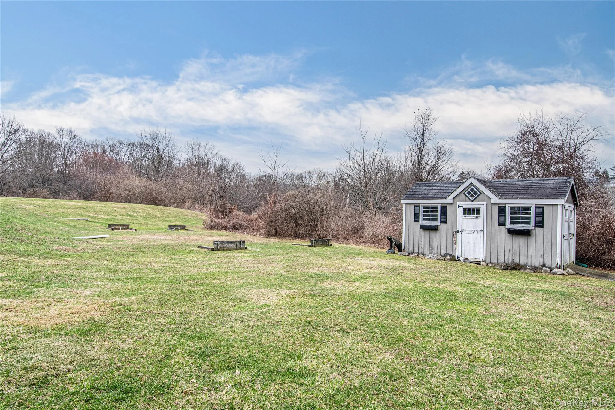View of grassy yard with a storage unit View of grassy yard with a storage unit