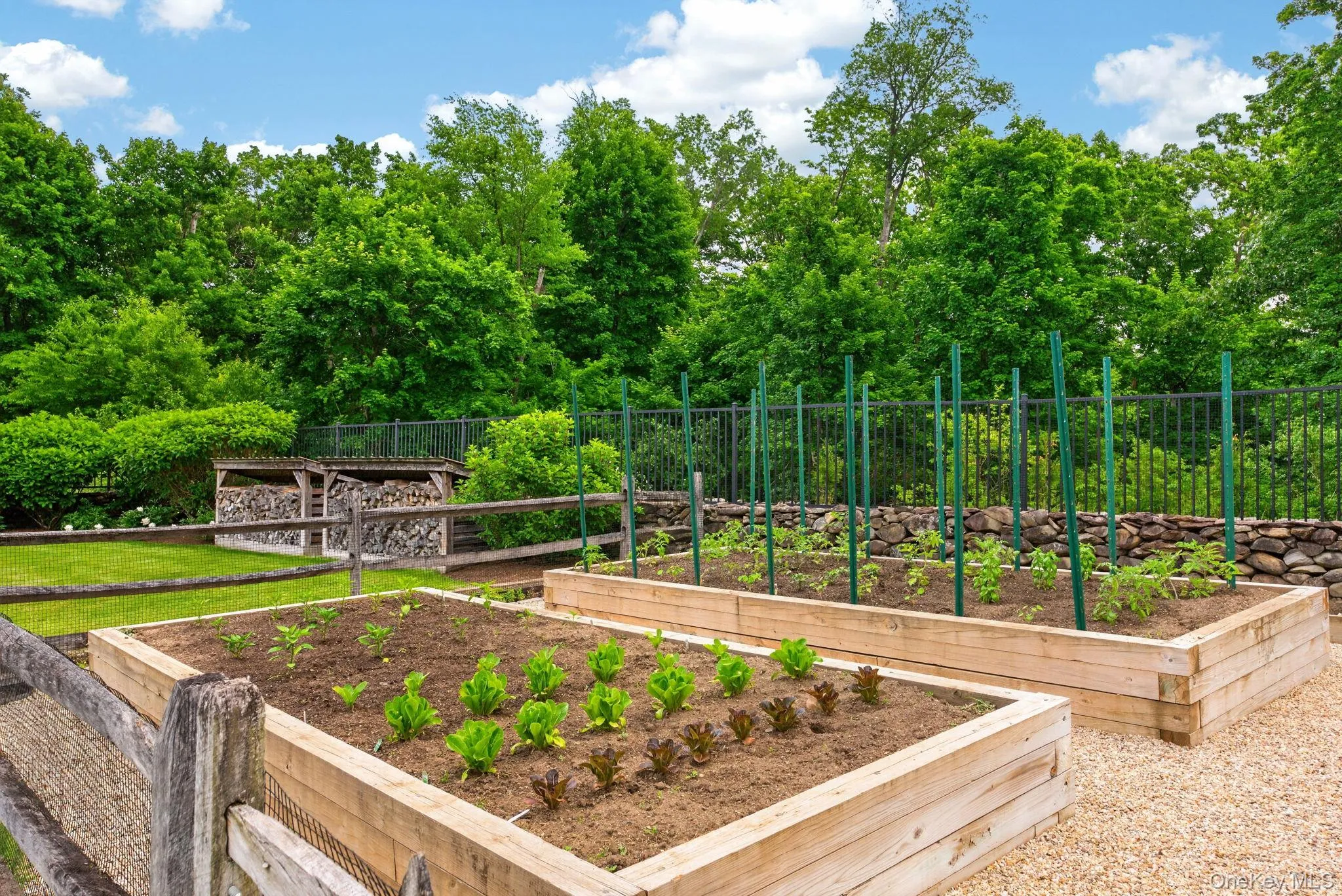 Raised bed garden Raised bed garden
