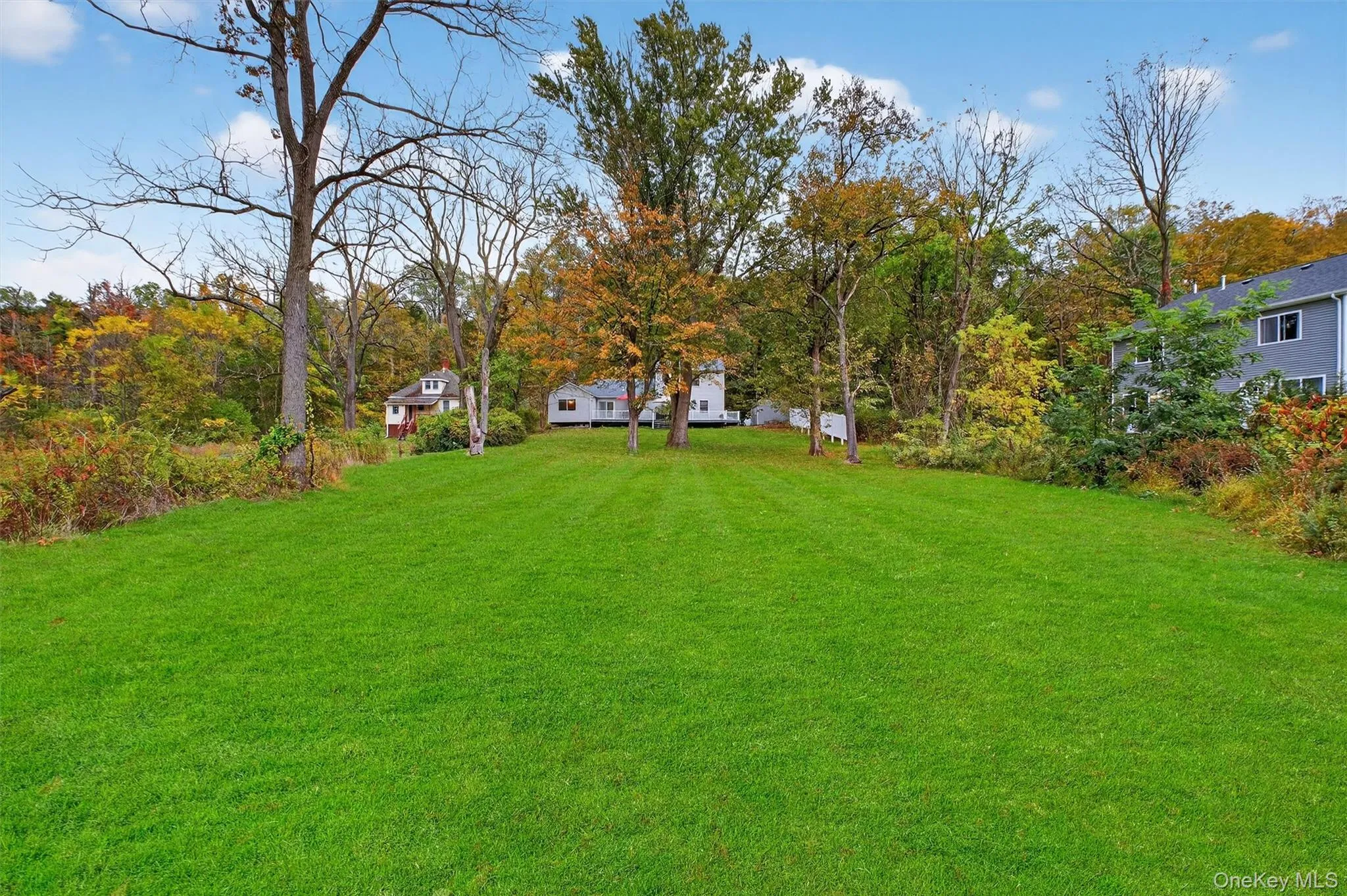 View of grassy yard View of grassy yard