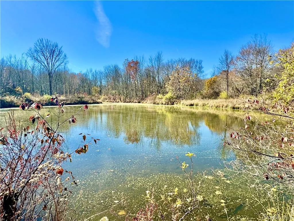 Lake on the property Lake on the property