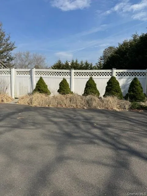 323 Mill Road, Southampton, NY, 1 Bedroom Bedrooms, 4 Rooms Rooms,1 BathroomBathrooms,Residential Lease,For Rent,Mill,0,980337 323 Mill Road, Southampton, NY, 1 Bedroom Bedrooms, 4 Rooms Rooms,1 BathroomBathrooms,Residential Lease,For Rent,Mill,0,980337
