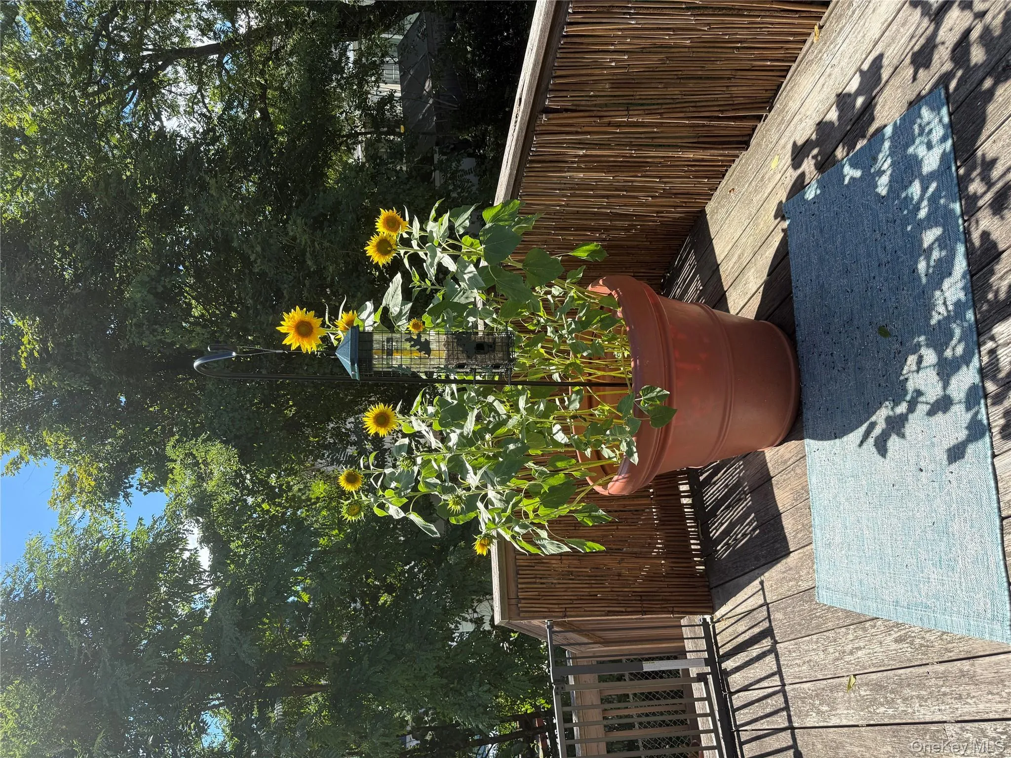 12 Davis Street, Beacon, NY, 2 Bedrooms Bedrooms, 6 Rooms Rooms,1 BathroomBathrooms,Residential Lease,For Rent,Davis,0,980369 12 Davis Street, Beacon, NY, 2 Bedrooms Bedrooms, 6 Rooms Rooms,1 BathroomBathrooms,Residential Lease,For Rent,Davis,0,980369