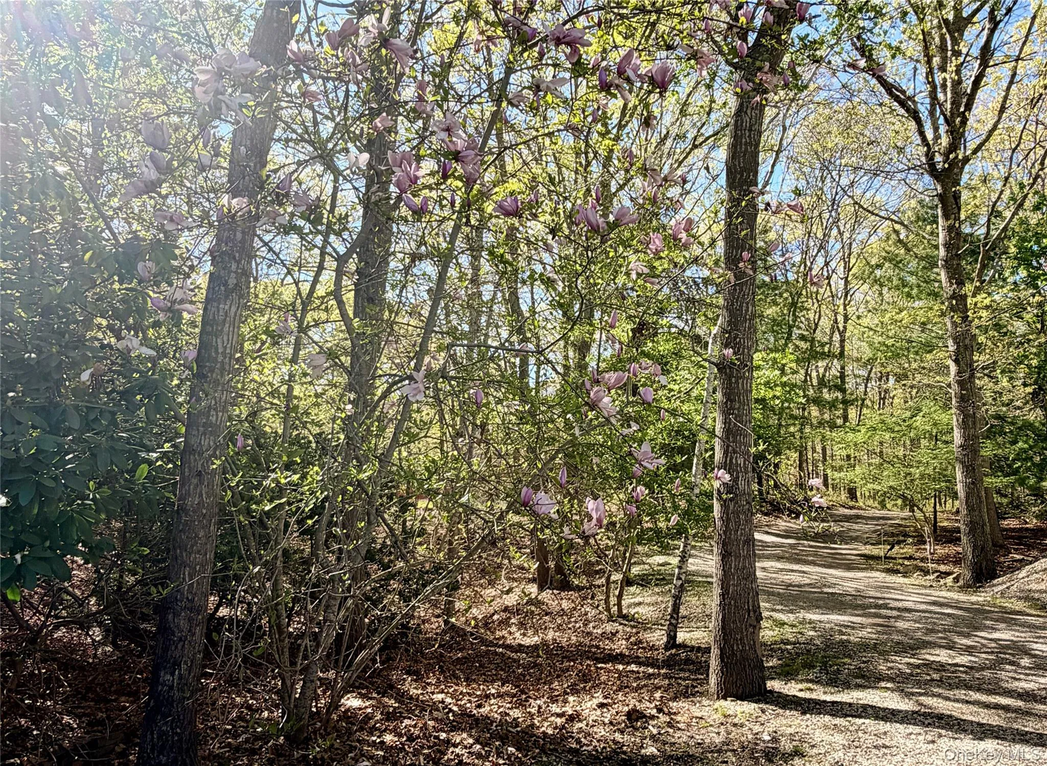 43B Old Squires Road, Southampton, NY, 3 Bedrooms Bedrooms, 7 Rooms Rooms,2 BathroomsBathrooms,Residential Lease,For Rent,Old Squires,0,980423 43B Old Squires Road, Southampton, NY, 3 Bedrooms Bedrooms, 7 Rooms Rooms,2 BathroomsBathrooms,Residential Lease,For Rent,Old Squires,0,980423