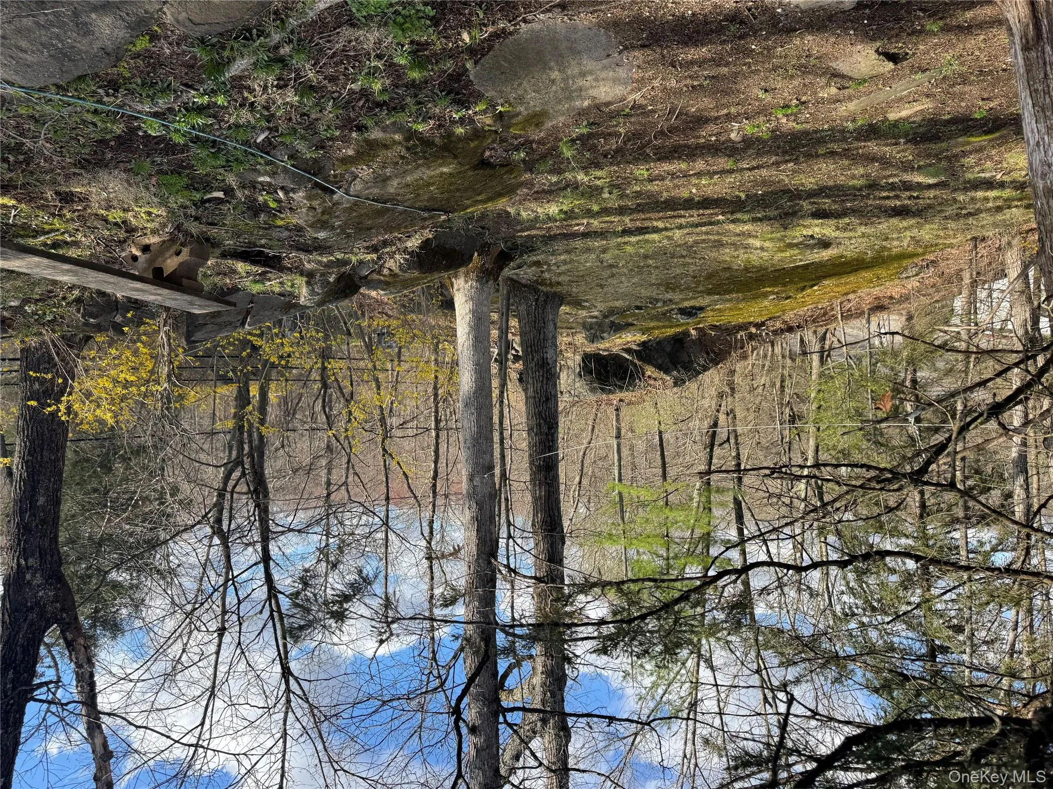 2119 Maple Avenue, Cortlandt, NY, 3 Bedrooms Bedrooms, 7 Rooms Rooms,1 BathroomBathrooms,Residential Lease,For Rent,Maple,0,980483 2119 Maple Avenue, Cortlandt, NY, 3 Bedrooms Bedrooms, 7 Rooms Rooms,1 BathroomBathrooms,Residential Lease,For Rent,Maple,0,980483