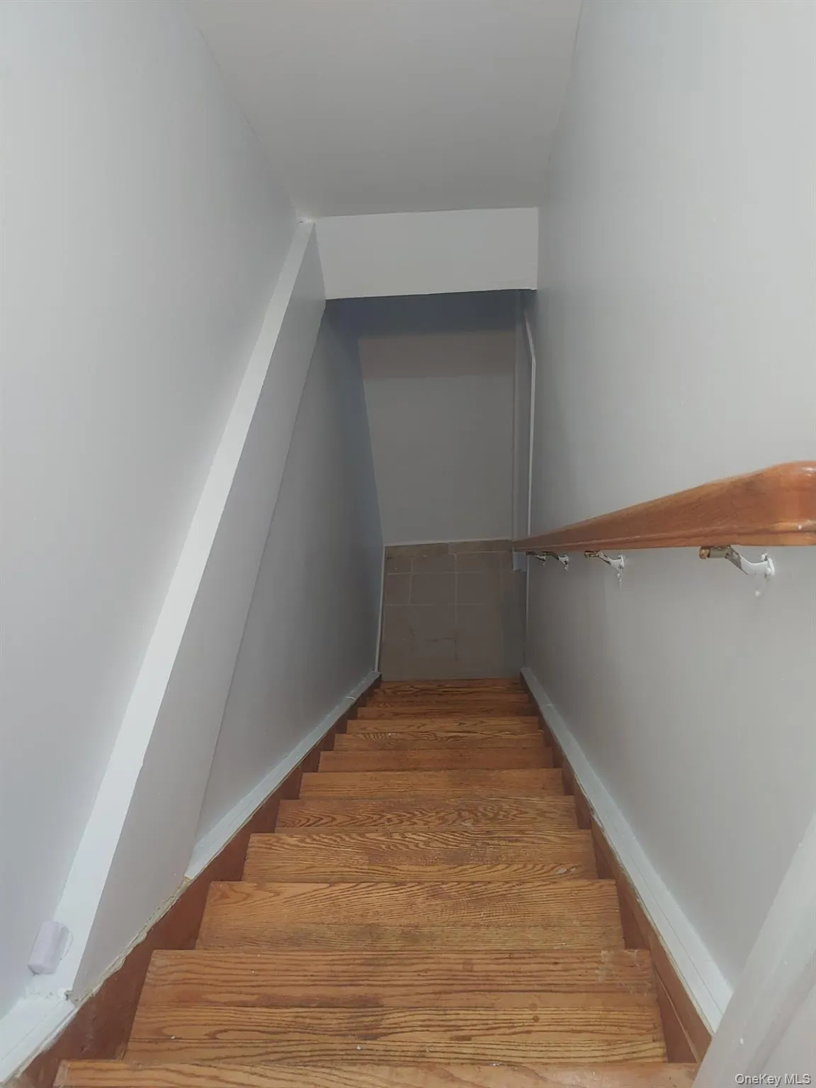 81-12 Commonwealth Boulevard, New York, NY, 3 Bedrooms Bedrooms, 6 Rooms Rooms,2 BathroomsBathrooms,Residential Lease,For Rent,Commonwealth,0,980527 81-12 Commonwealth Boulevard, New York, NY, 3 Bedrooms Bedrooms, 6 Rooms Rooms,2 BathroomsBathrooms,Residential Lease,For Rent,Commonwealth,0,980527