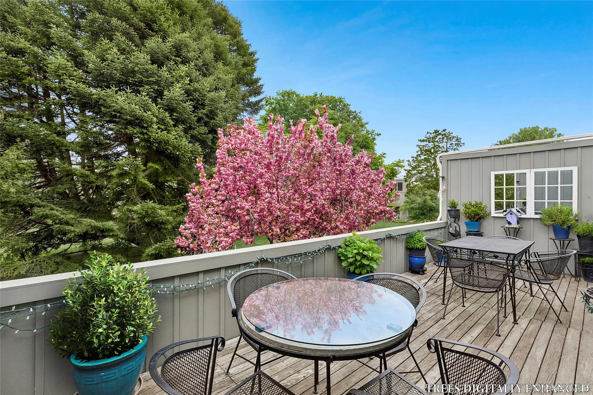 514 Pantigo Road, East Hampton, NY, 2 Bedrooms Bedrooms, 5 Rooms Rooms,2 BathroomsBathrooms,Residential,For Rent,Pantigo,0,980555 514 Pantigo Road, East Hampton, NY, 2 Bedrooms Bedrooms, 5 Rooms Rooms,2 BathroomsBathrooms,Residential,For Rent,Pantigo,0,980555