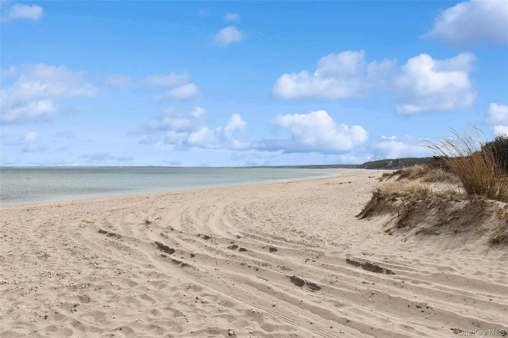 6 Landing Road, Southampton, NY, 4 Bedrooms Bedrooms, 6 Rooms Rooms,2 BathroomsBathrooms,Residential Lease,For Rent,Landing,0,980690 6 Landing Road, Southampton, NY, 4 Bedrooms Bedrooms, 6 Rooms Rooms,2 BathroomsBathrooms,Residential Lease,For Rent,Landing,0,980690