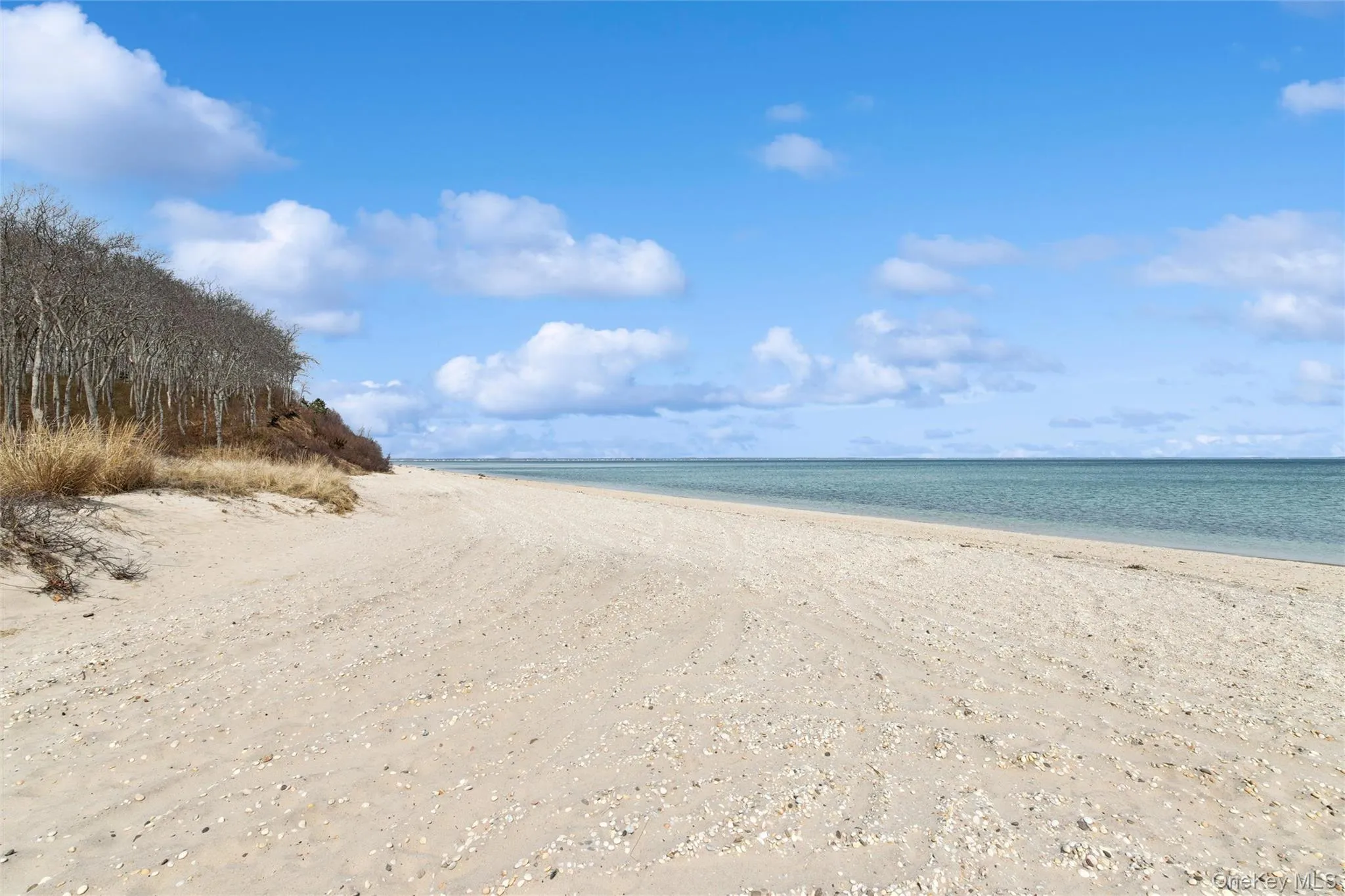 6 Landing Road, Southampton, NY, 4 Bedrooms Bedrooms, 6 Rooms Rooms,2 BathroomsBathrooms,Residential Lease,For Rent,Landing,0,980690 6 Landing Road, Southampton, NY, 4 Bedrooms Bedrooms, 6 Rooms Rooms,2 BathroomsBathrooms,Residential Lease,For Rent,Landing,0,980690