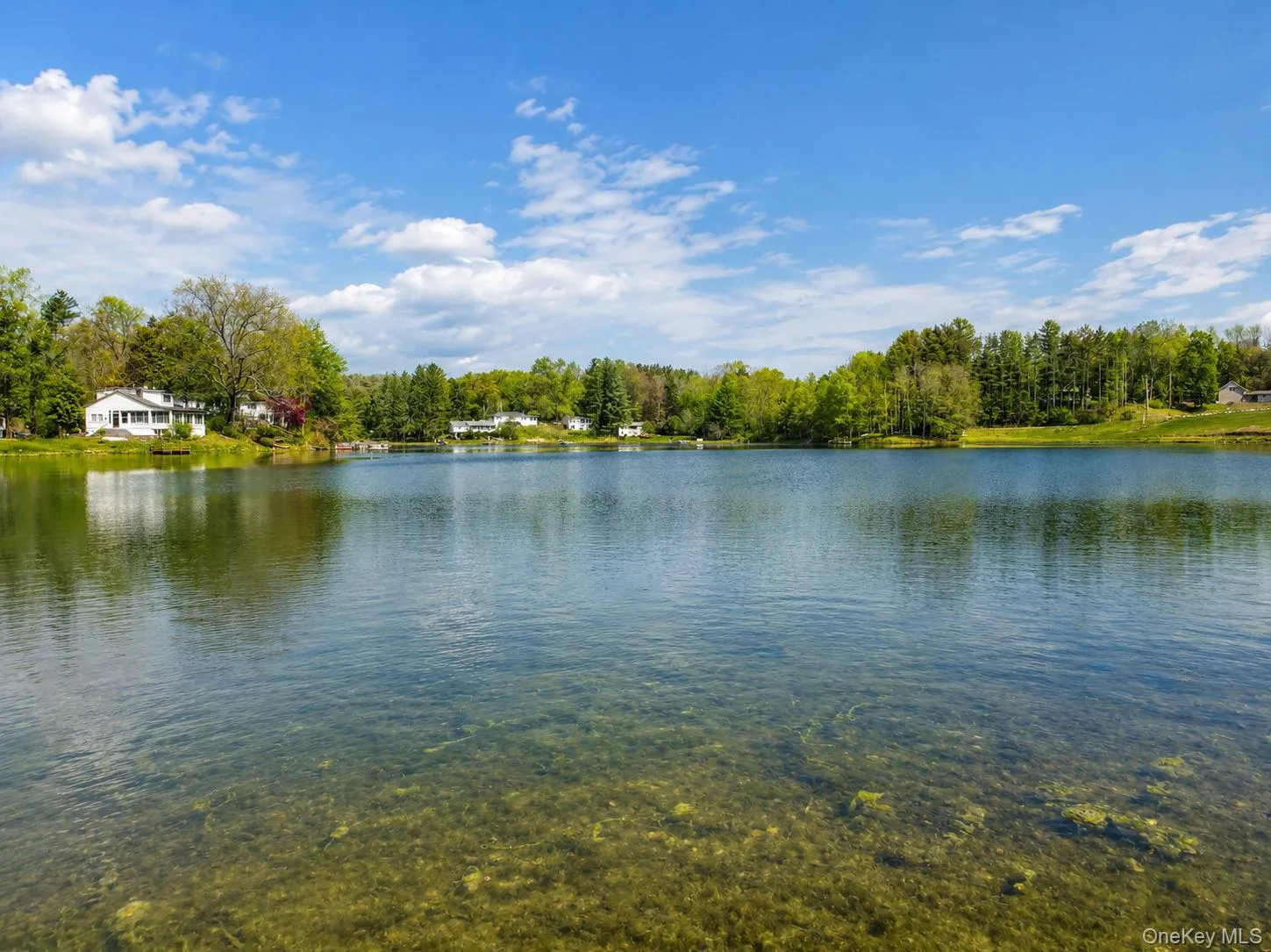 Water's edge lake view Water's edge lake view