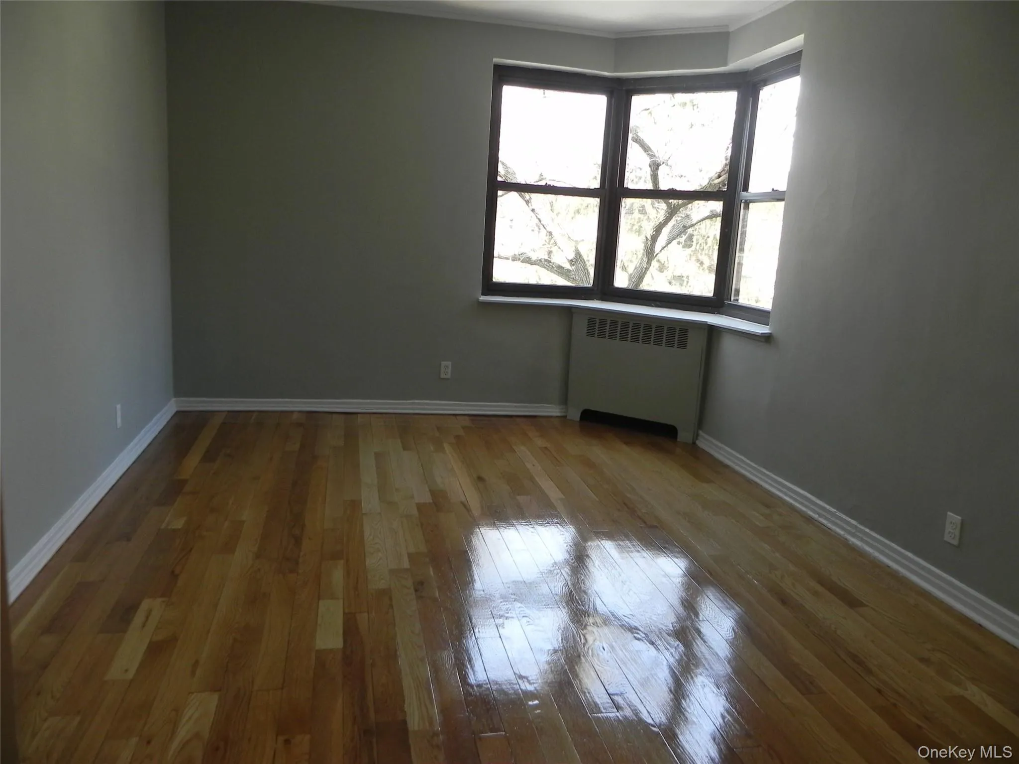 12 Welwyn Road, North Hempstead, NY, 2 Bedrooms Bedrooms, 4 Rooms Rooms,1 BathroomBathrooms,Residential Lease,For Rent,Welwyn,0,980824 12 Welwyn Road, North Hempstead, NY, 2 Bedrooms Bedrooms, 4 Rooms Rooms,1 BathroomBathrooms,Residential Lease,For Rent,Welwyn,0,980824