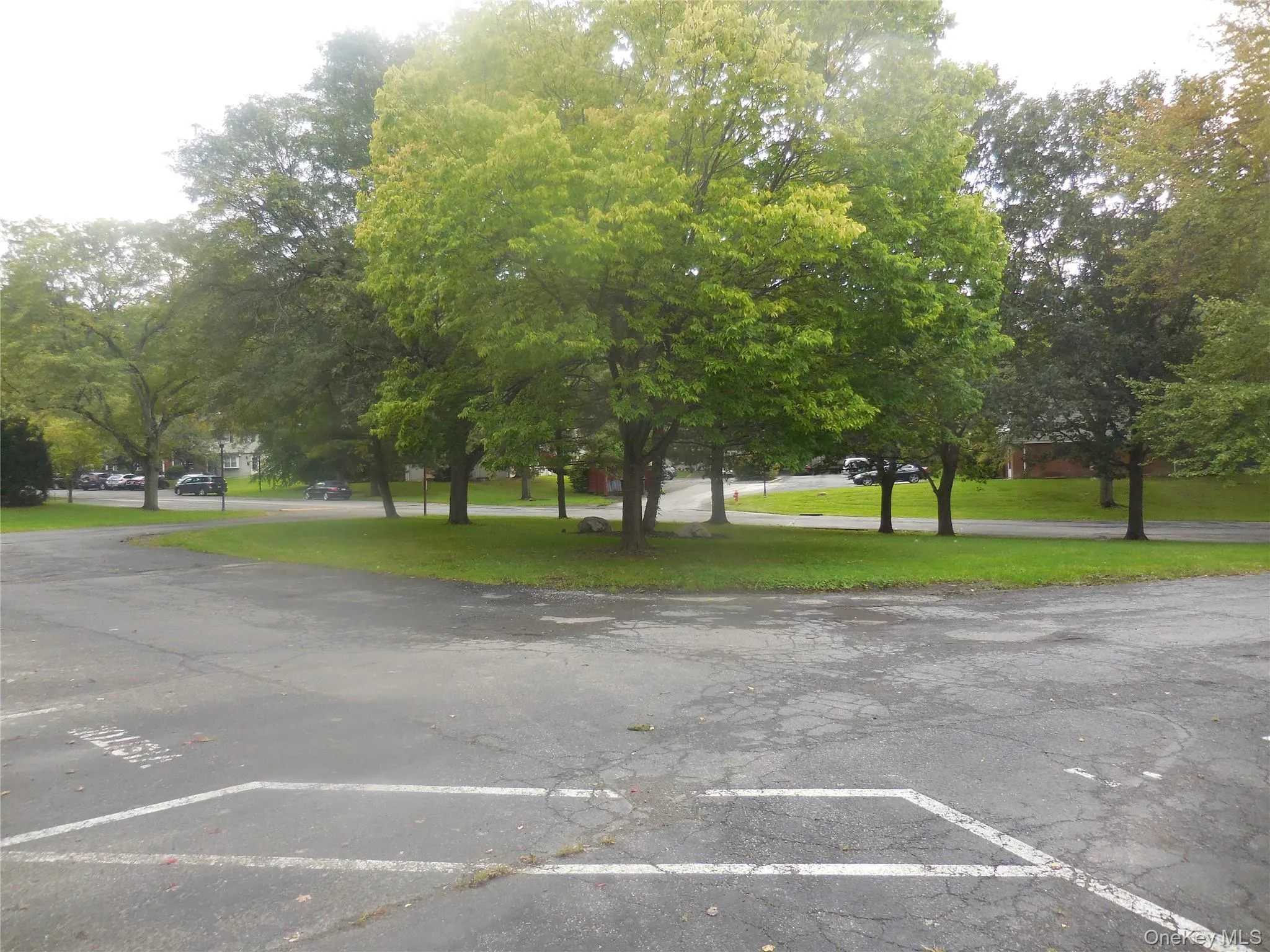 View of car parking featuring a lawn View of car parking featuring a lawn
