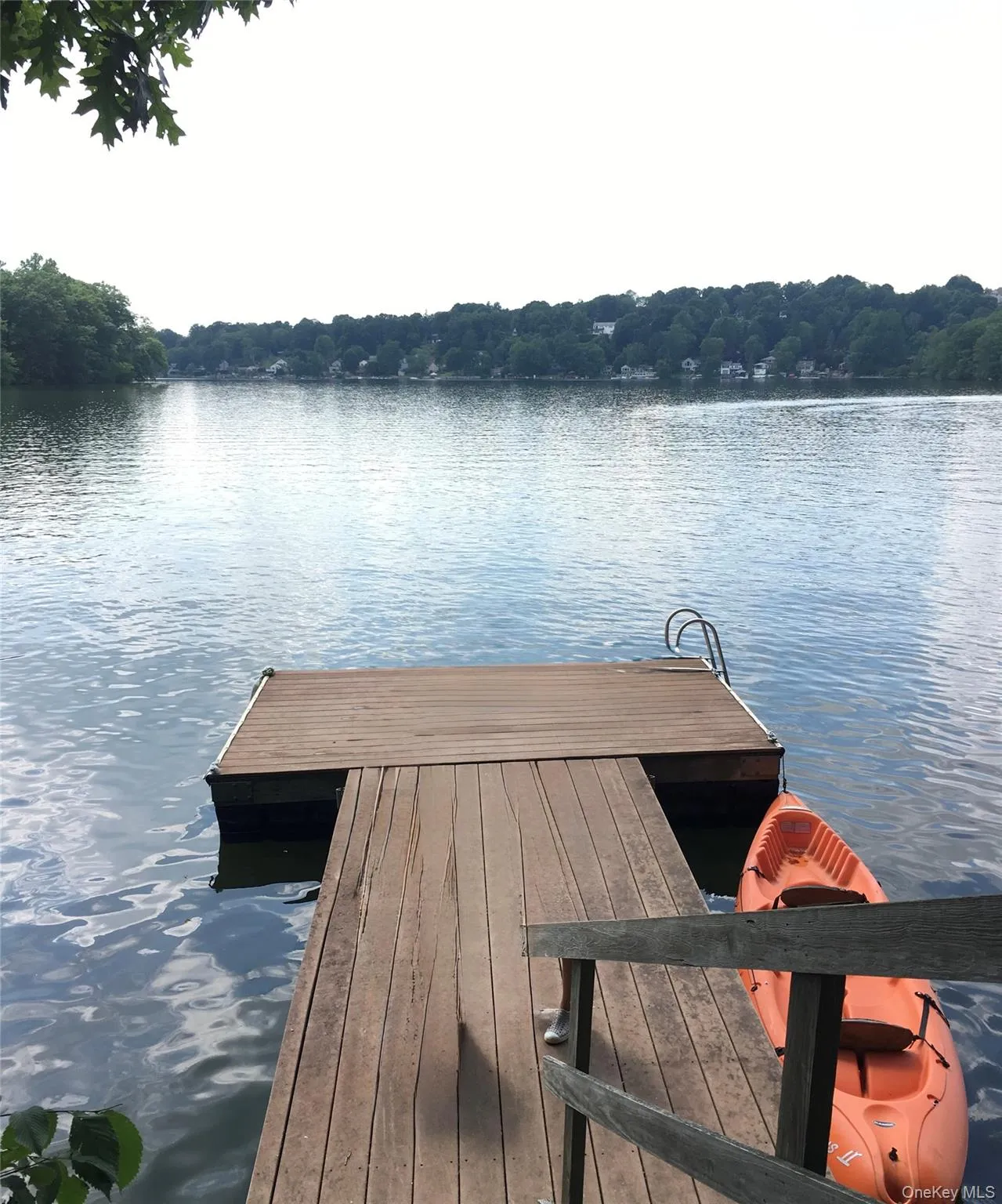 Deeded LAKE RIGHTS with private boar dock Deeded LAKE RIGHTS with private boar dock