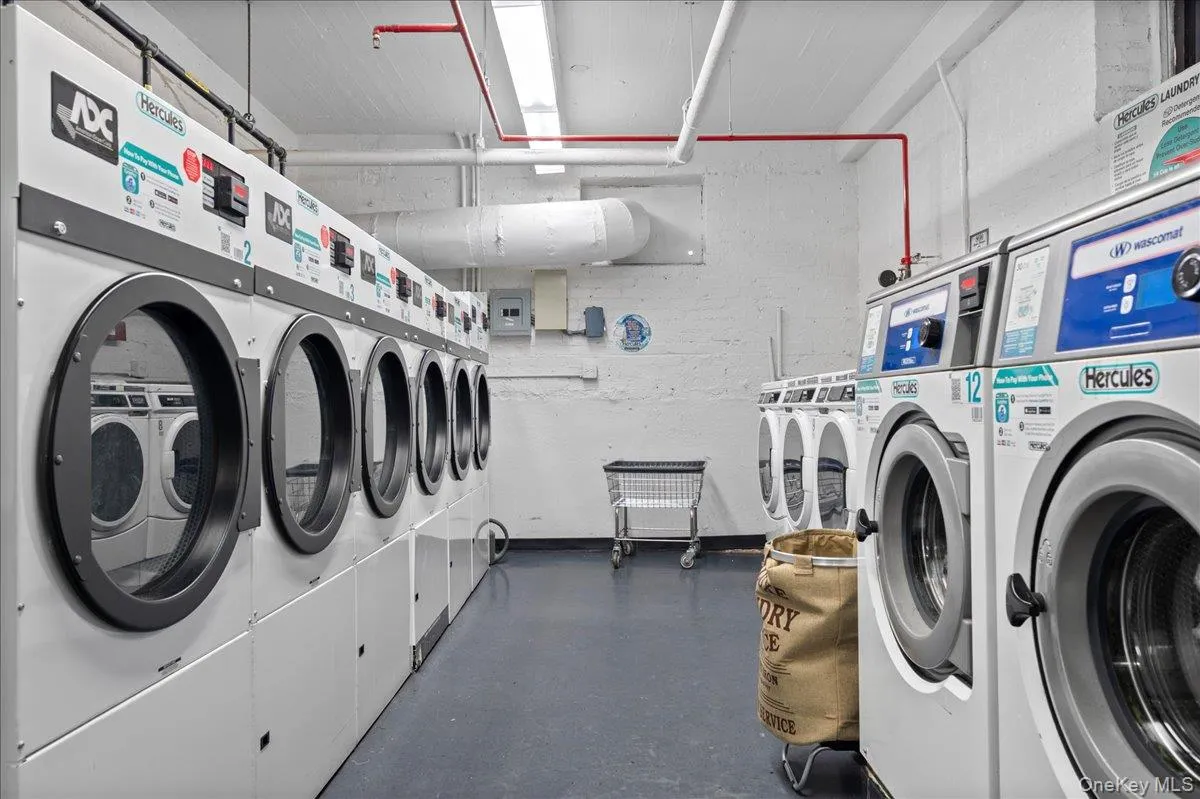 3840 Greystone Avenue, New York, NY, 1 Bedroom Bedrooms, 4 Rooms Rooms,1 BathroomBathrooms,Residential,For Rent,Greystone,0,980872 3840 Greystone Avenue, New York, NY, 1 Bedroom Bedrooms, 4 Rooms Rooms,1 BathroomBathrooms,Residential,For Rent,Greystone,0,980872