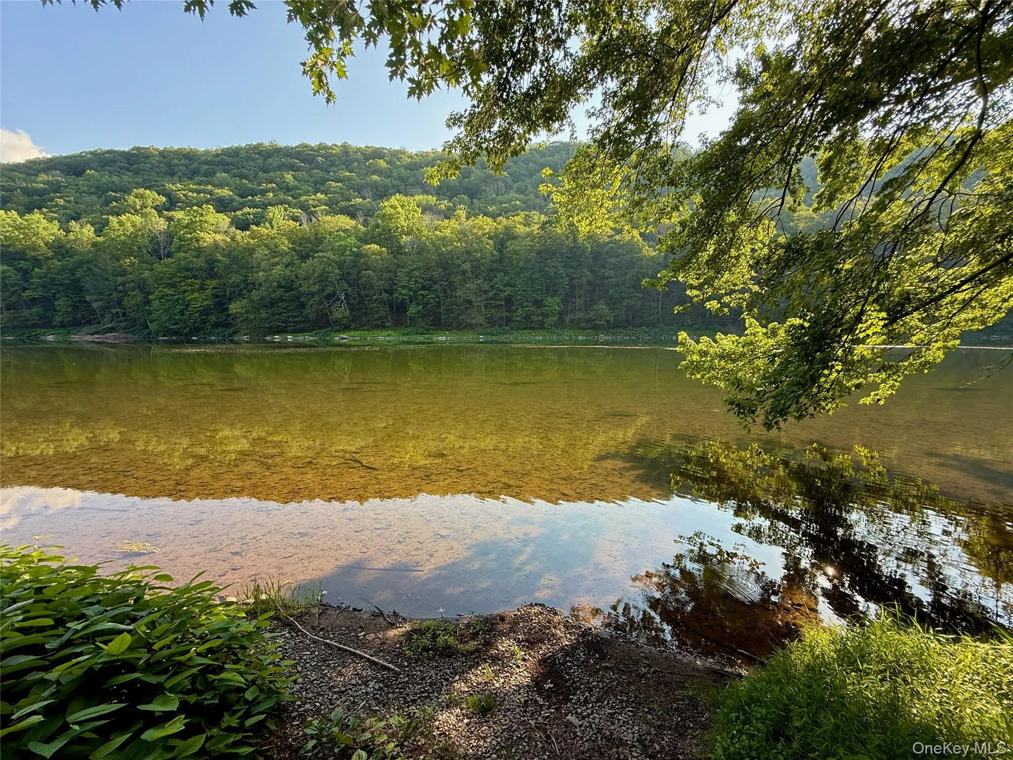 Wild and scenic upper Delaware river. 900 feet of riverfront. World class fly fishing Wild and scenic upper Delaware river. 900 feet of riverfront. World class fly fishing