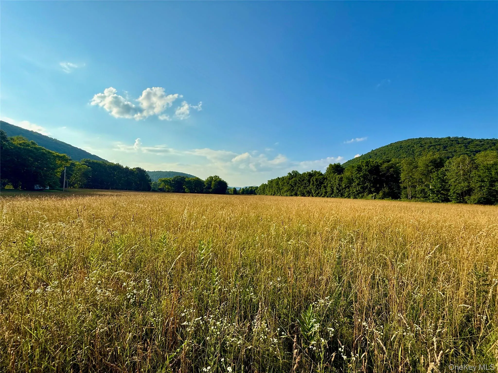 Hay fields and mountains Hay fields and mountains