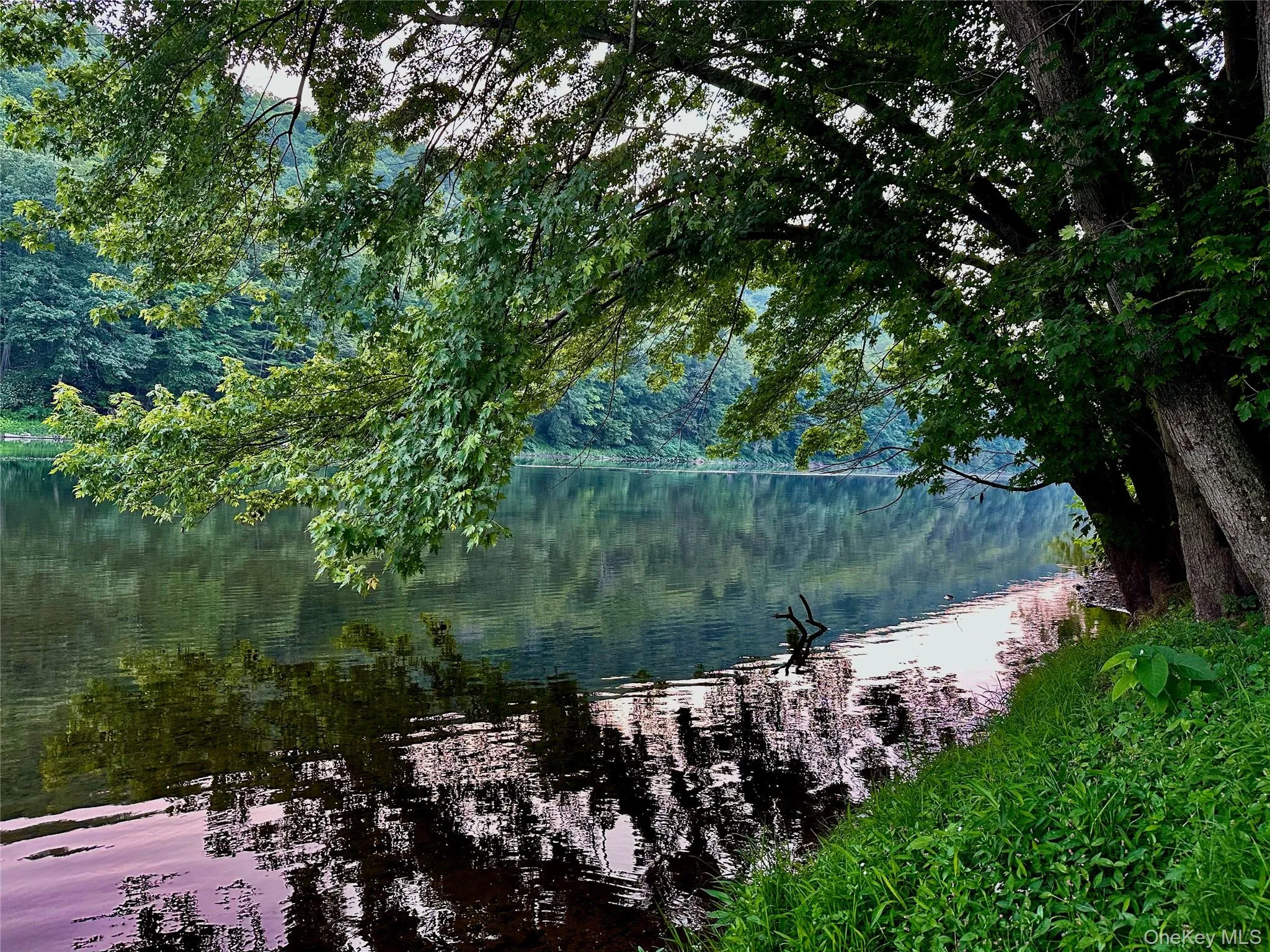 Riverfront paradise. Your own National Park Riverfront paradise. Your own National Park