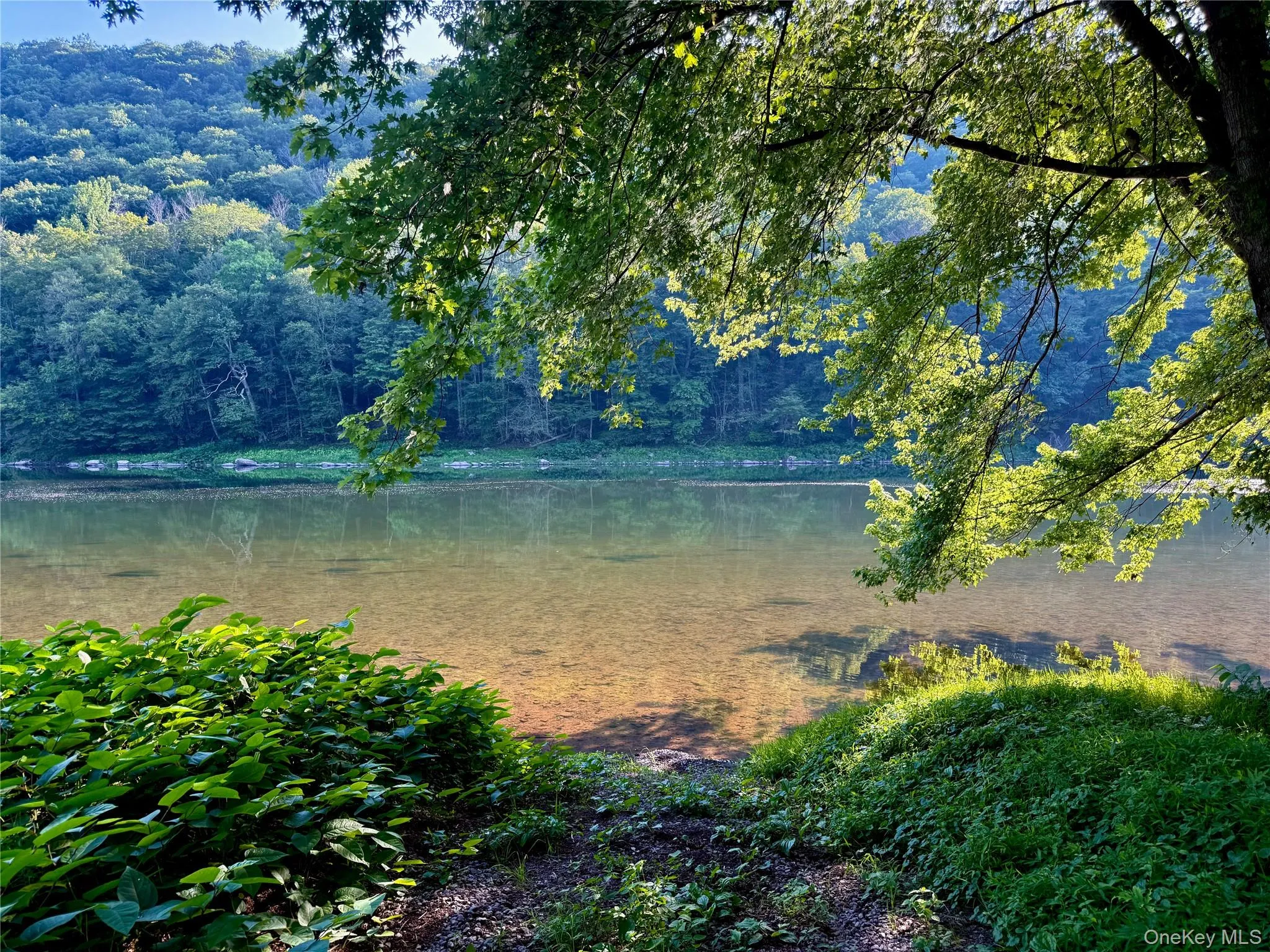 Wild and scenic upper Delaware river. 900 feet of riverfront. World class fly fishing Wild and scenic upper Delaware river. 900 feet of riverfront. World class fly fishing