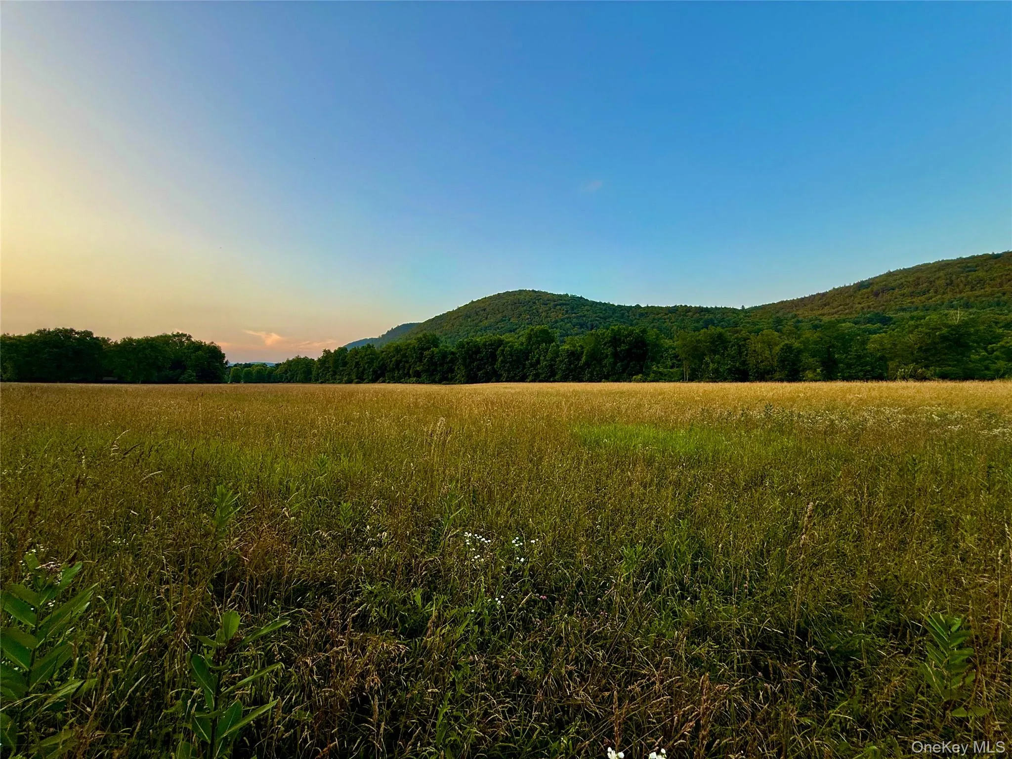 Hay fields and mountains Hay fields and mountains