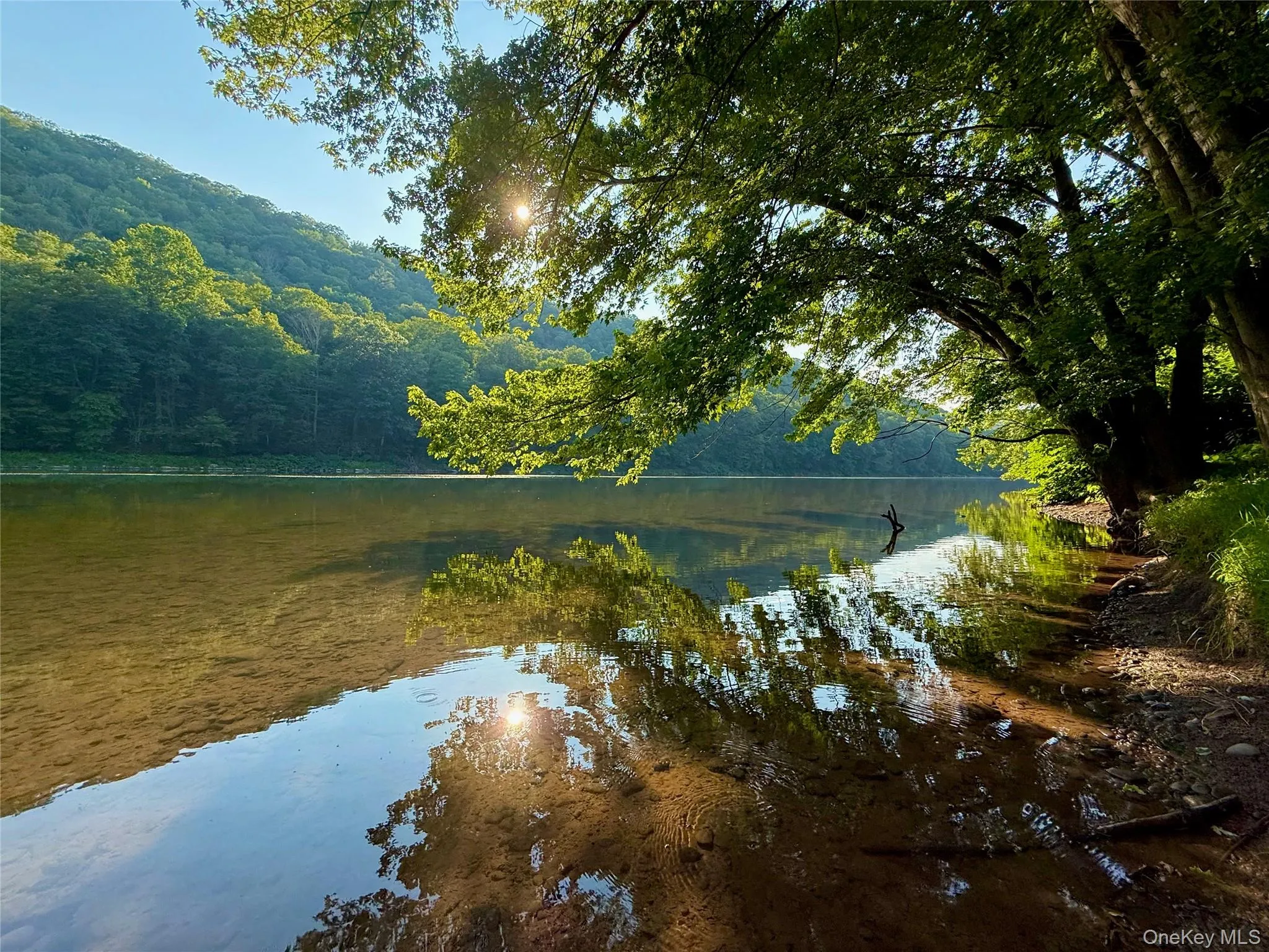 Wild and scenic upper Delaware river. 900 feet of riverfront. World class fly fishing Wild and scenic upper Delaware river. 900 feet of riverfront. World class fly fishing