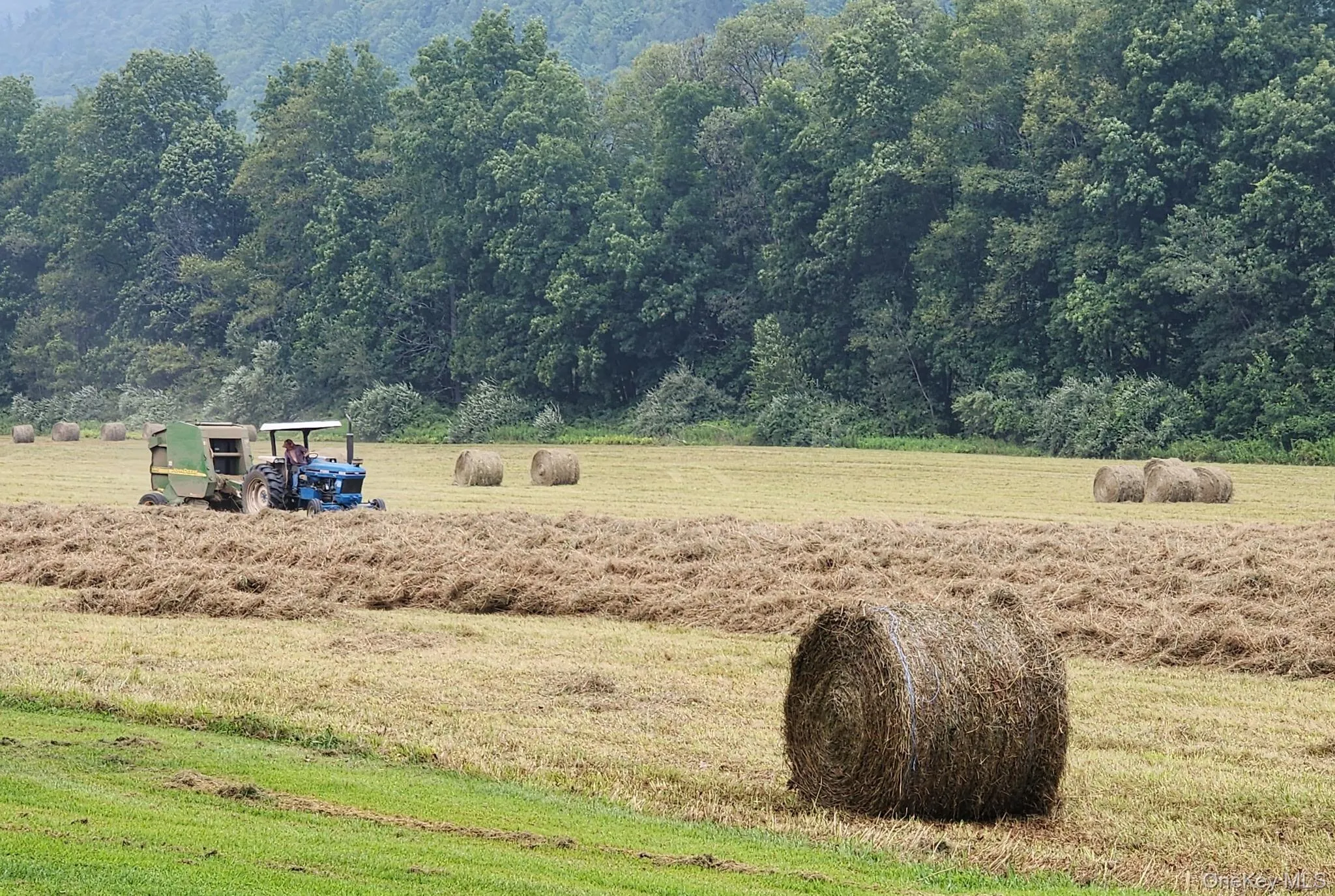 25 acres includes fields hayed annually 25 acres includes fields hayed annually