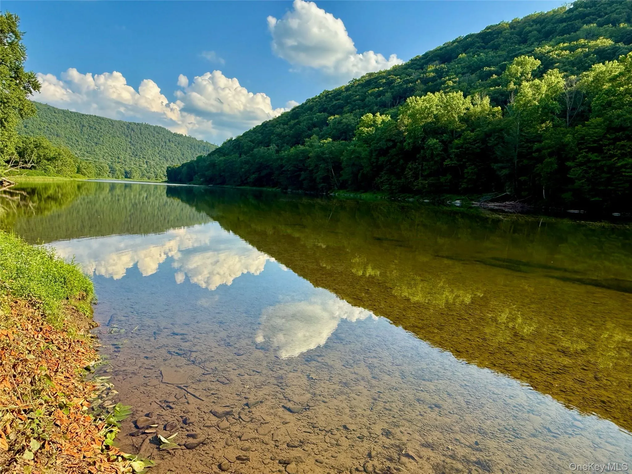 Wild and scenic upper Delaware river. 900 feet of riverfront. World class fly fishing Wild and scenic upper Delaware river. 900 feet of riverfront. World class fly fishing
