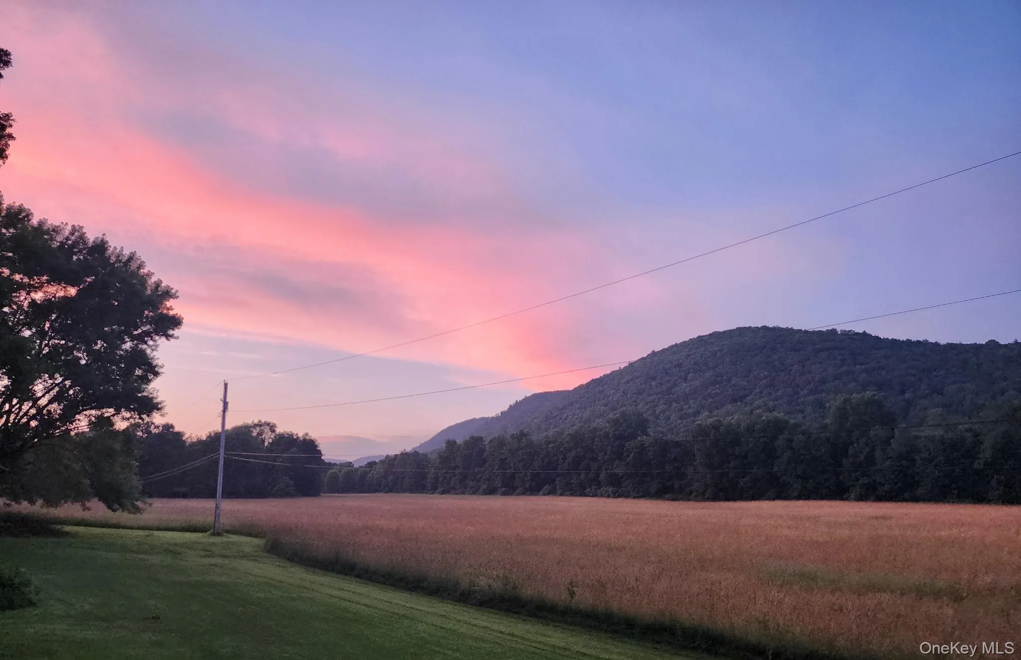 25 acres includes fields hayed annually 25 acres includes fields hayed annually