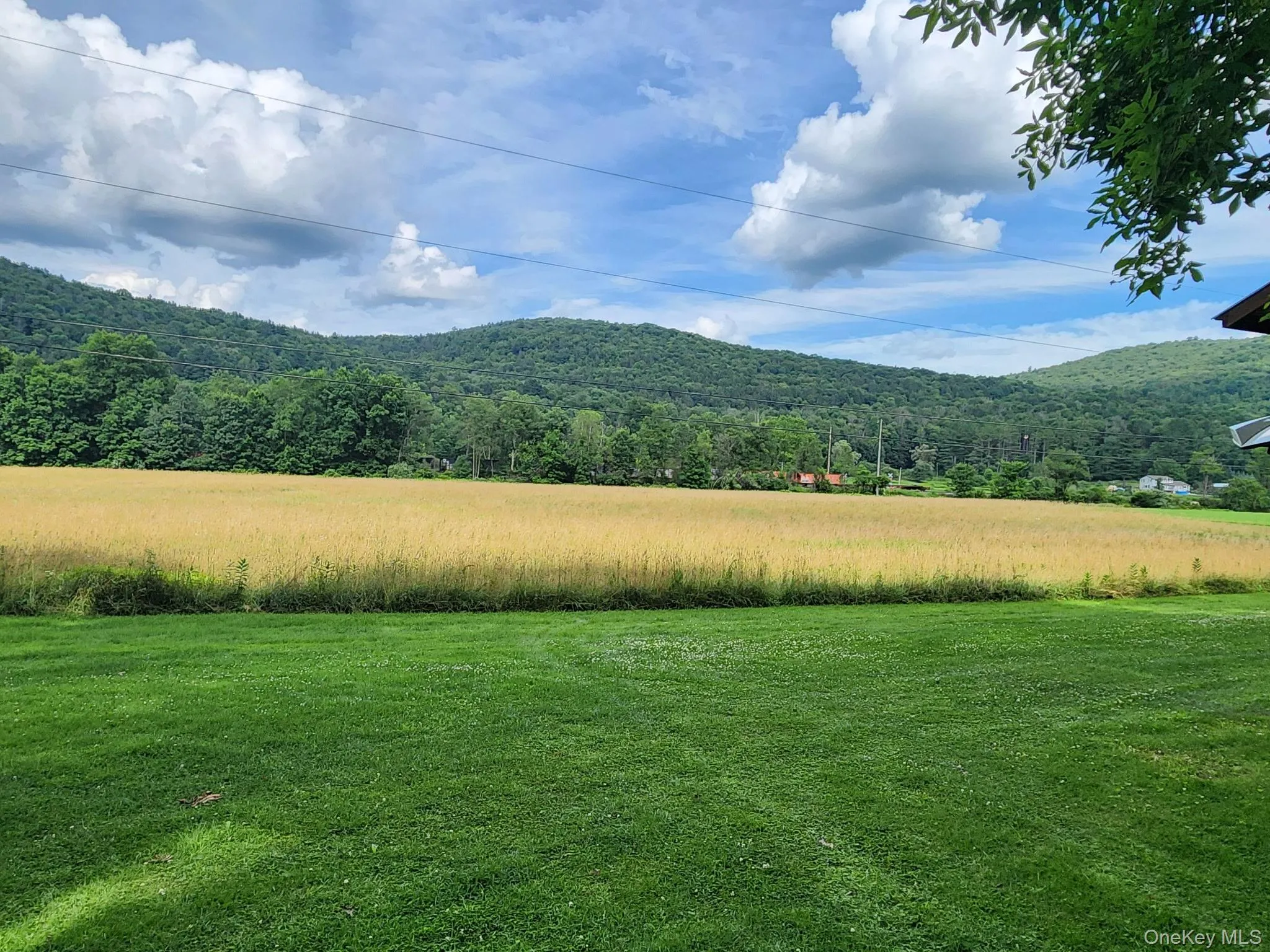 25 acres includes fields hayed annually 25 acres includes fields hayed annually