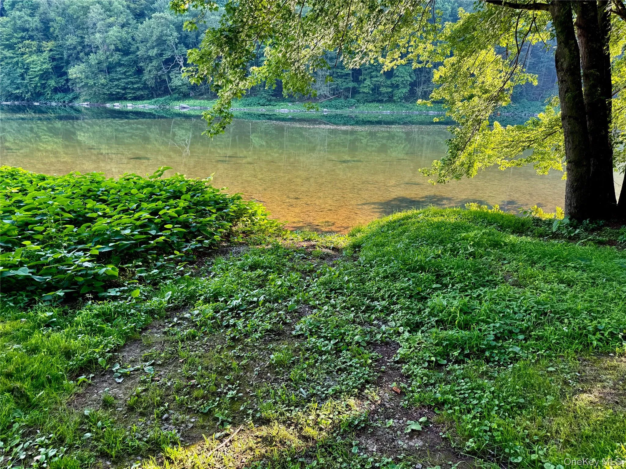 Private river access and boat launch Private river access and boat launch