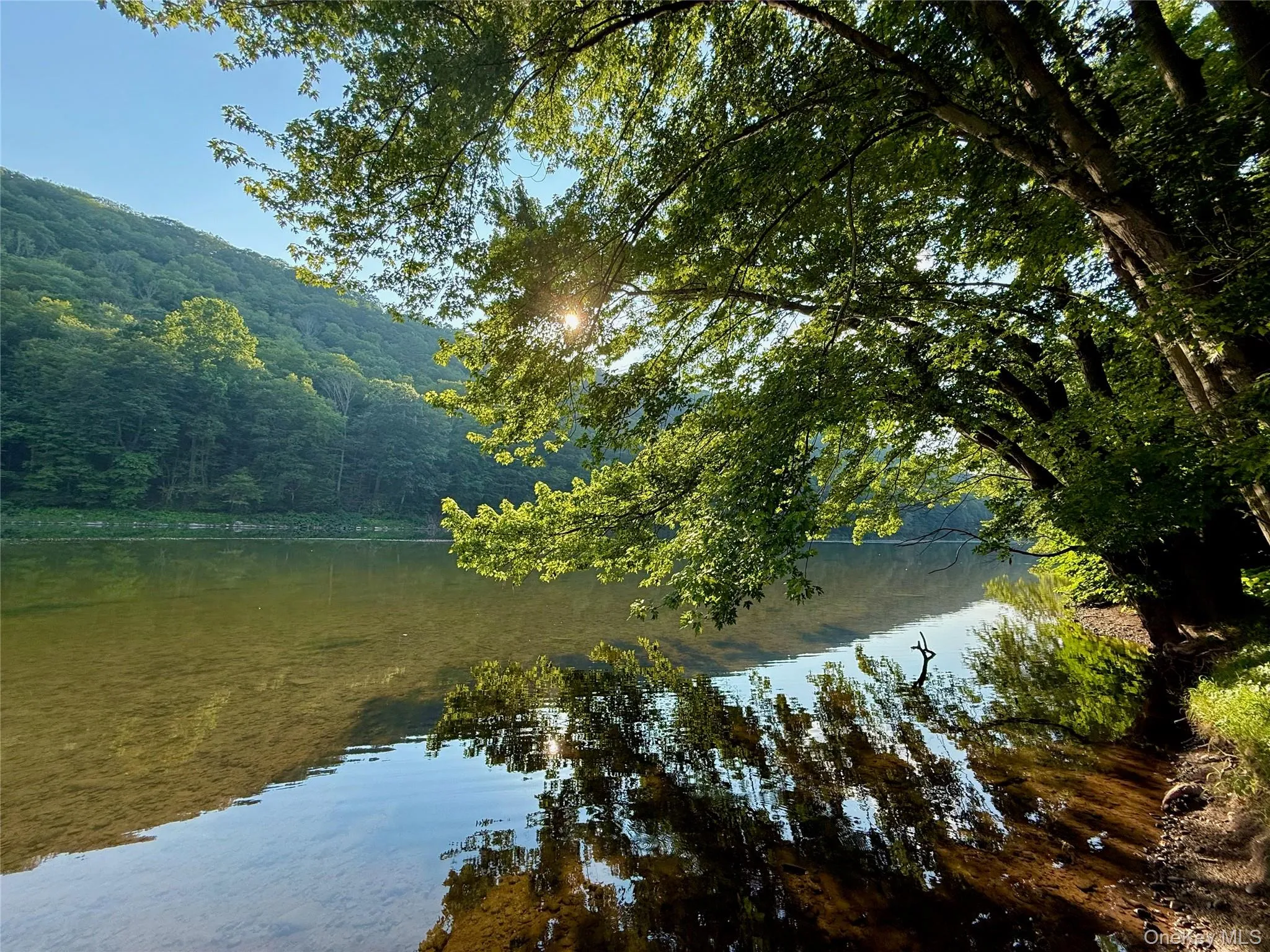 Wild and scenic upper Delaware river. 900 feet of riverfront. World class fly fishing Wild and scenic upper Delaware river. 900 feet of riverfront. World class fly fishing