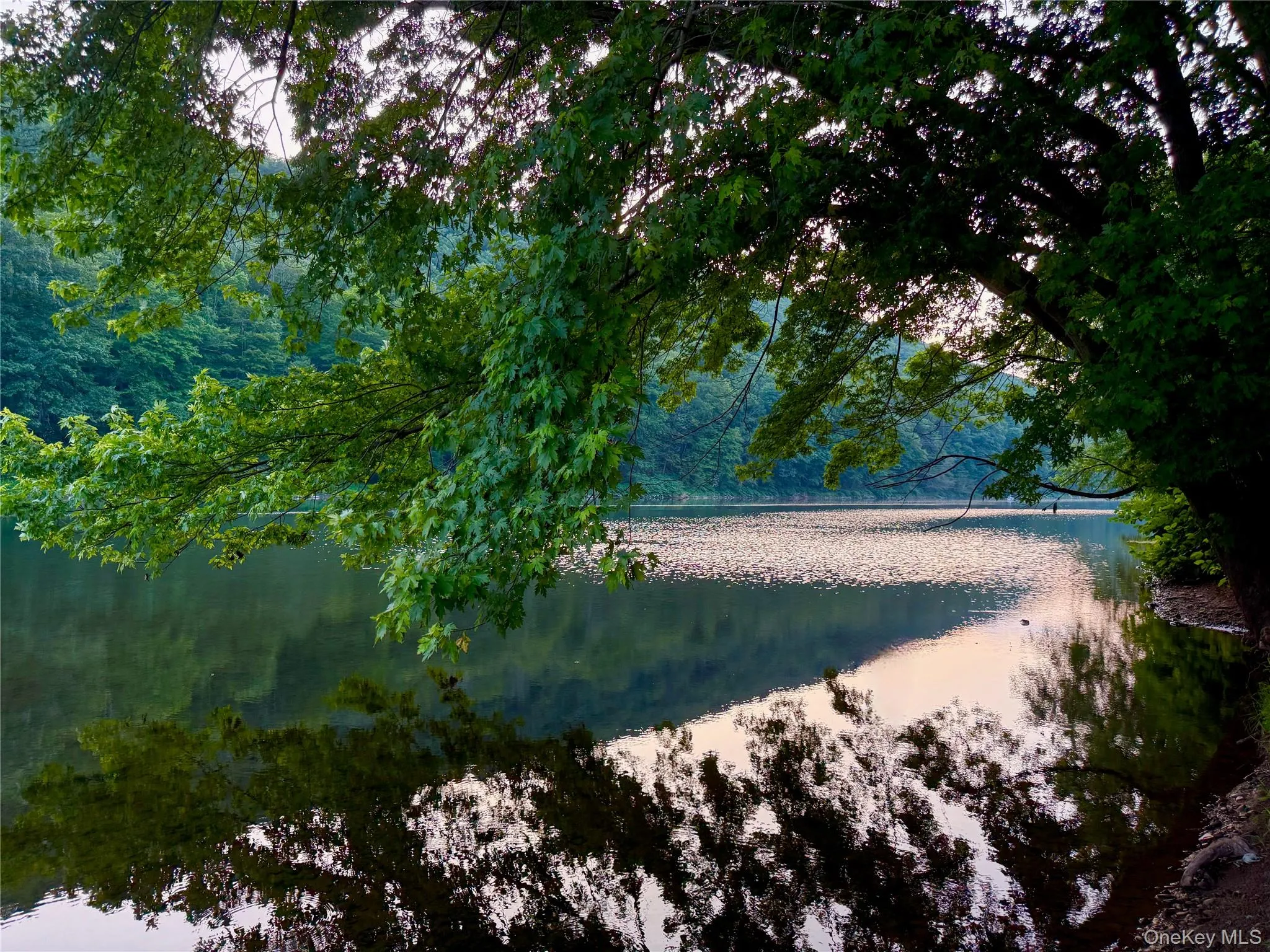 Riverfront paradise. Your own National Park Riverfront paradise. Your own National Park