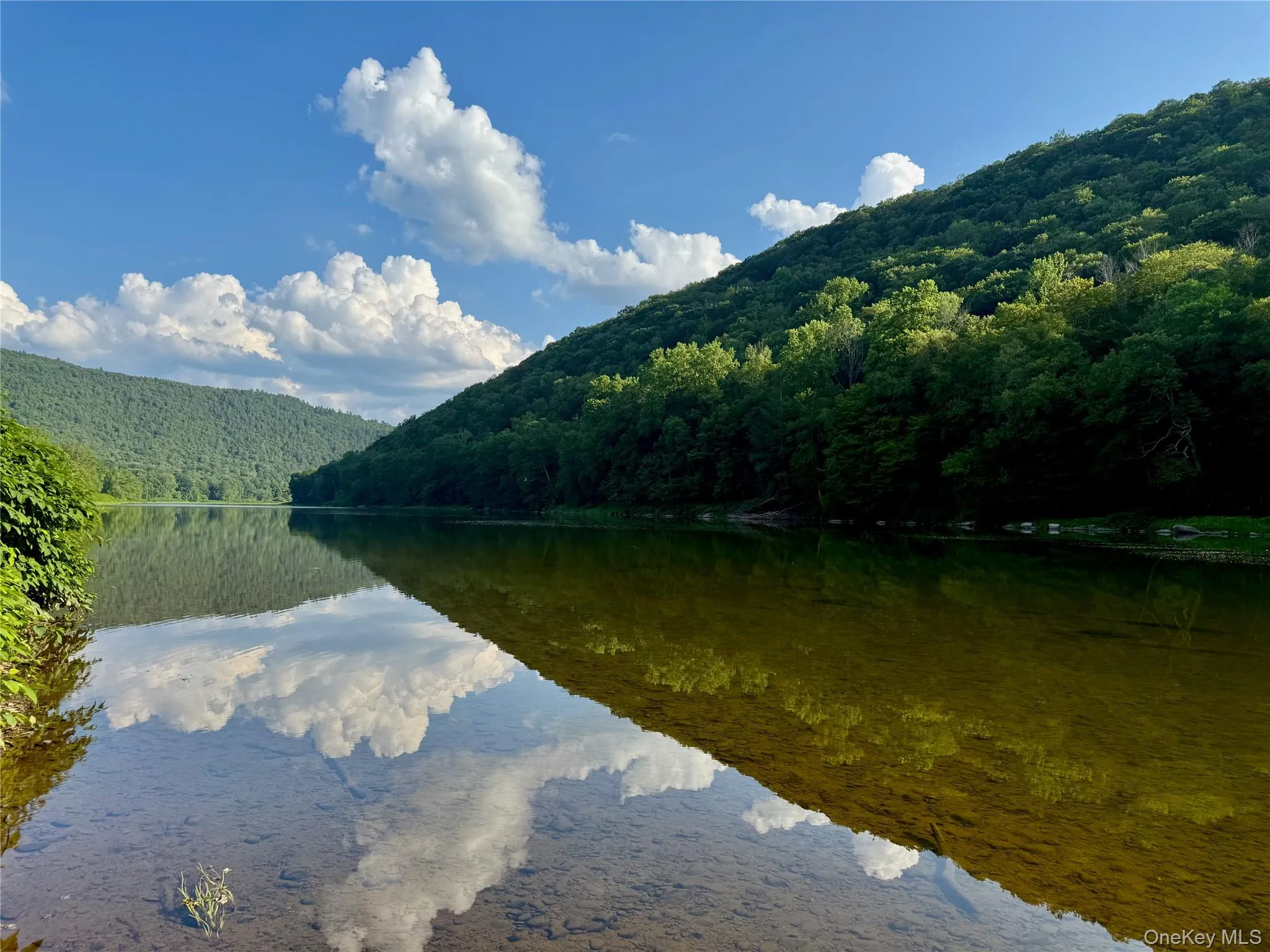 Wild and scenic upper Delaware river. 900 feet of riverfront. World class fly fishing Wild and scenic upper Delaware river. 900 feet of riverfront. World class fly fishing