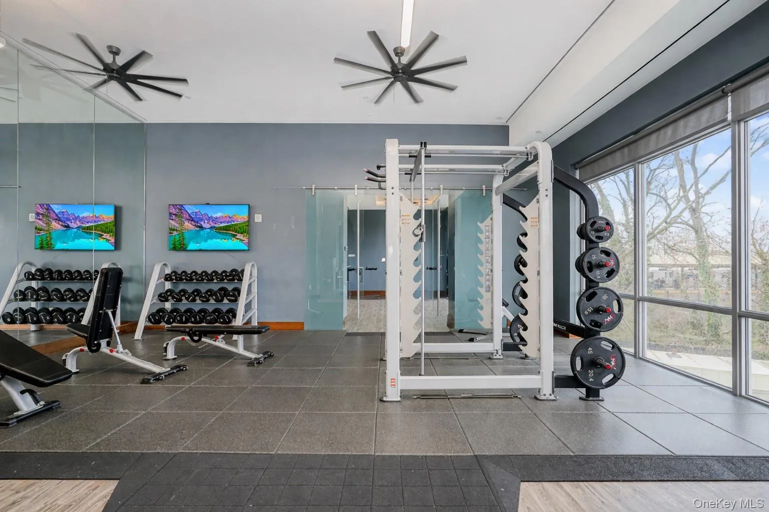 1501 Voorhies Avenue, New York, NY, 1 Bedroom Bedrooms, 2 Rooms Rooms,1 BathroomBathrooms,Residential Sale,For Rent,Voorhies,0,980924 1501 Voorhies Avenue, New York, NY, 1 Bedroom Bedrooms, 2 Rooms Rooms,1 BathroomBathrooms,Residential Sale,For Rent,Voorhies,0,980924