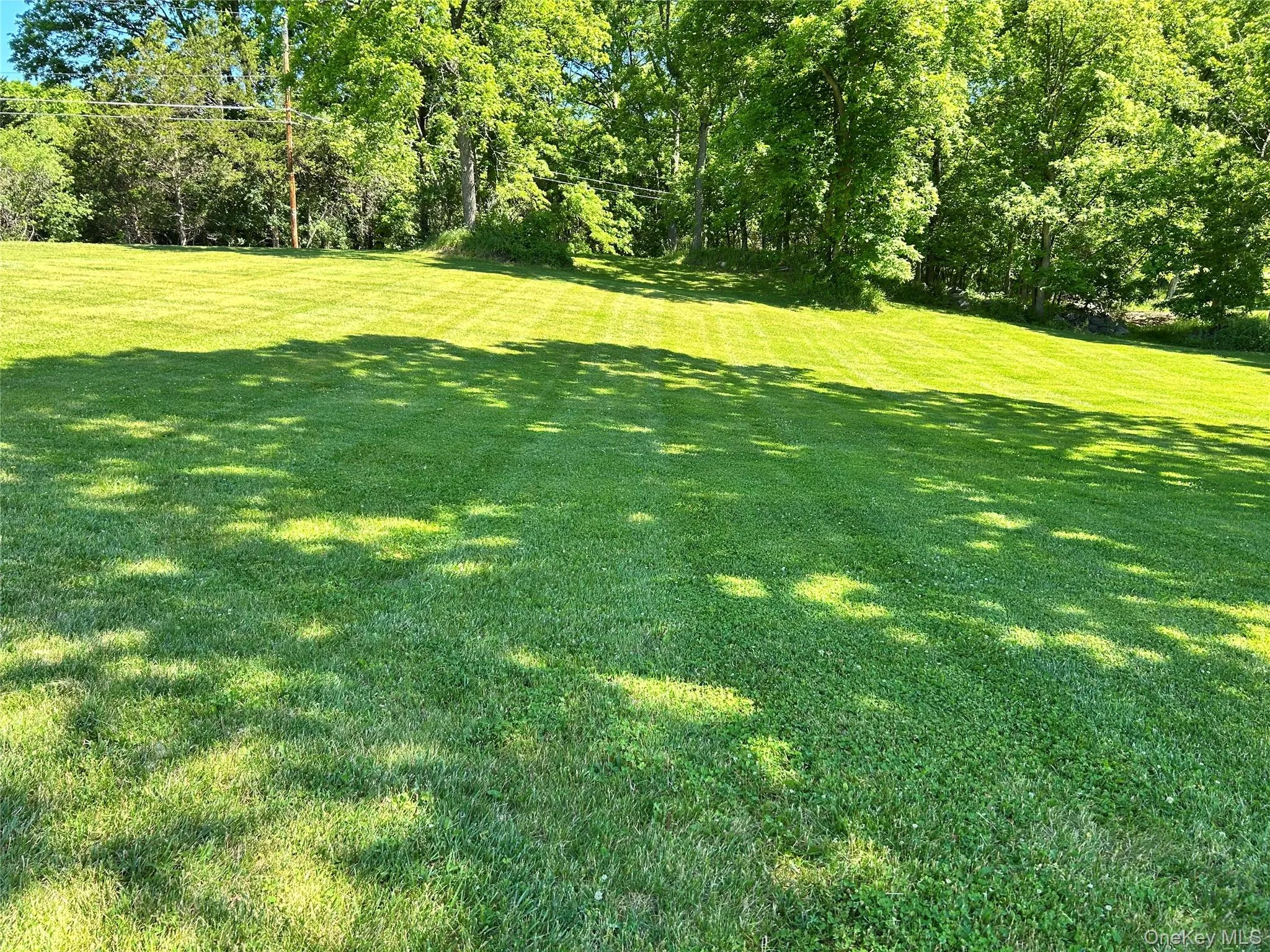 40 Carter Road, Wawayanda, NY, 3 Bedrooms Bedrooms, 7 Rooms Rooms,2 BathroomsBathrooms,Residential,For Rent,Carter,0,981022 40 Carter Road, Wawayanda, NY, 3 Bedrooms Bedrooms, 7 Rooms Rooms,2 BathroomsBathrooms,Residential,For Rent,Carter,0,981022