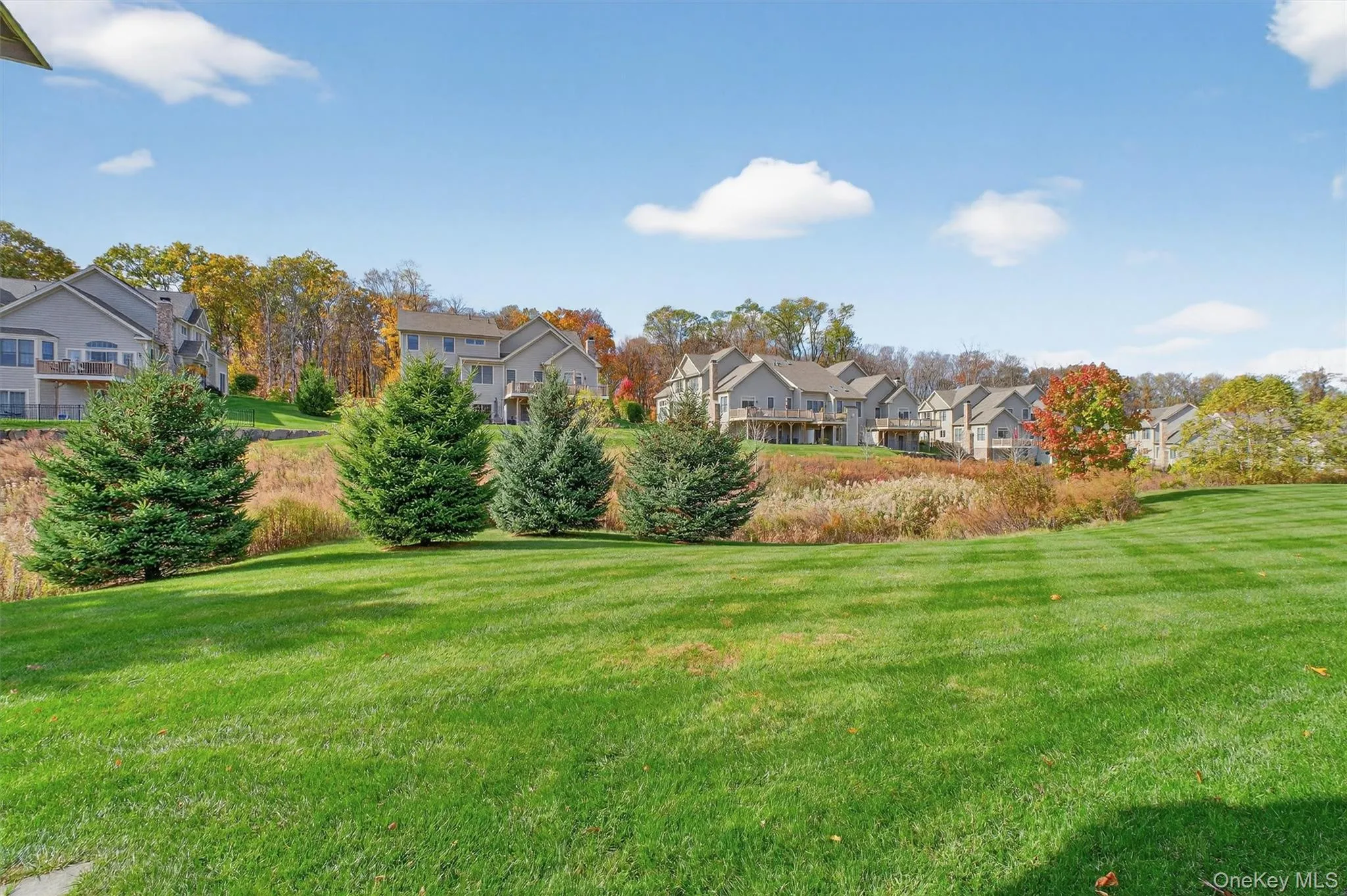 View of grassy yard featuring a residential view View of grassy yard featuring a residential view