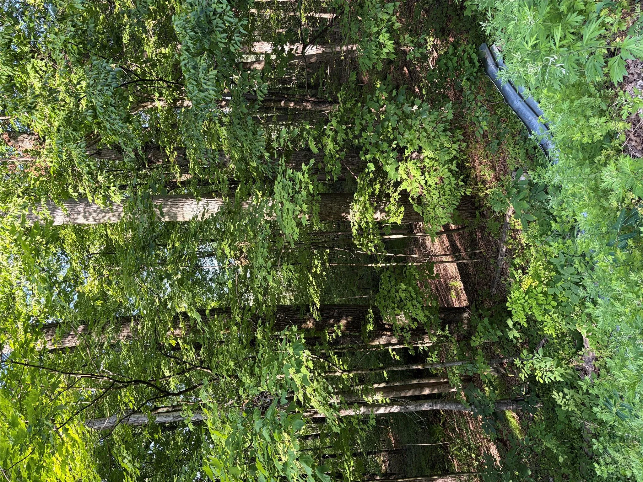 Wells Road, Newburgh (town), NY, ,Land,For Rent,Wells,0,981241 Wells Road, Newburgh (town), NY, ,Land,For Rent,Wells,0,981241