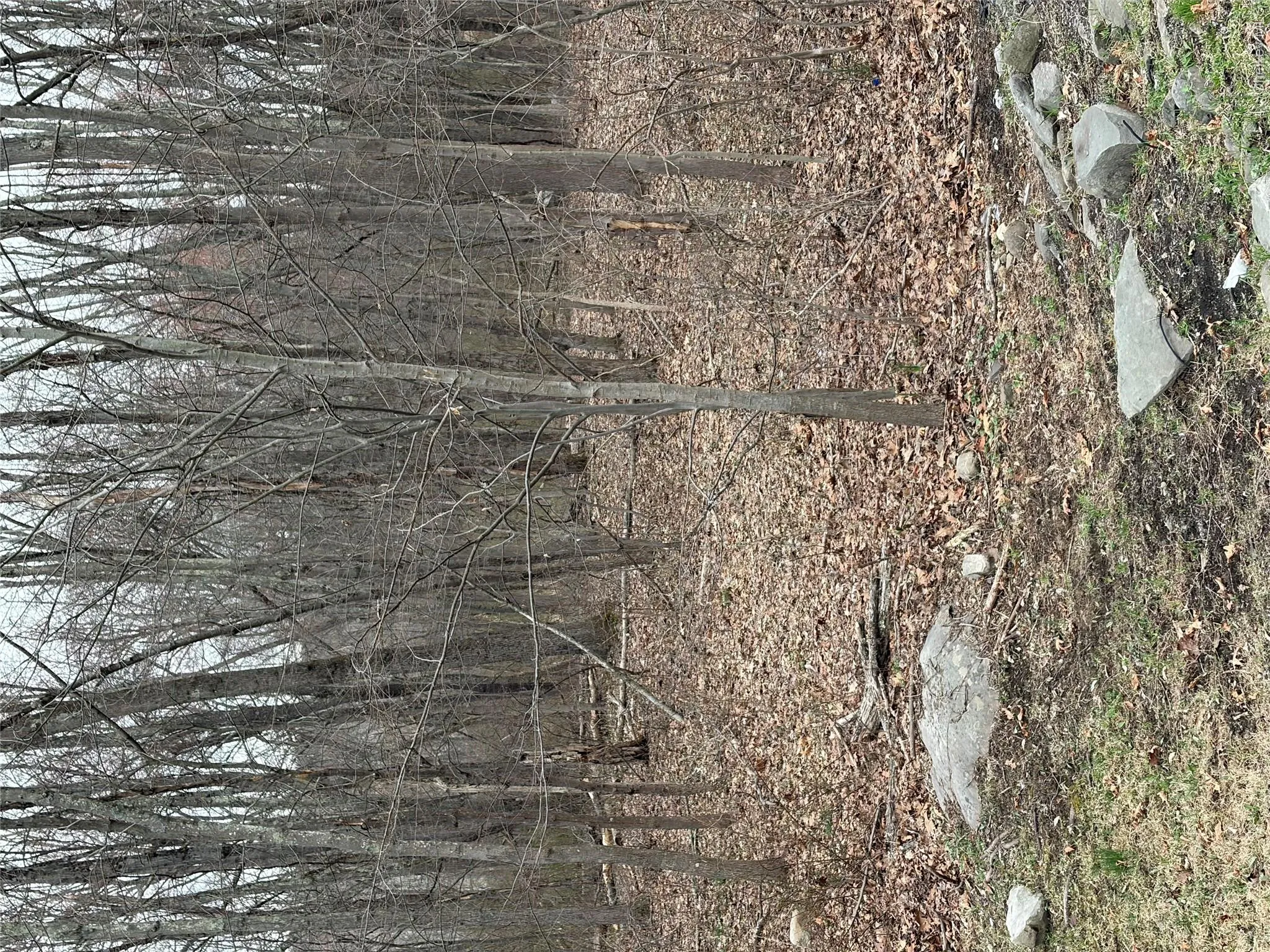 Wells Road, Newburgh (town), NY, ,Land,For Rent,Wells,0,981241 Wells Road, Newburgh (town), NY, ,Land,For Rent,Wells,0,981241