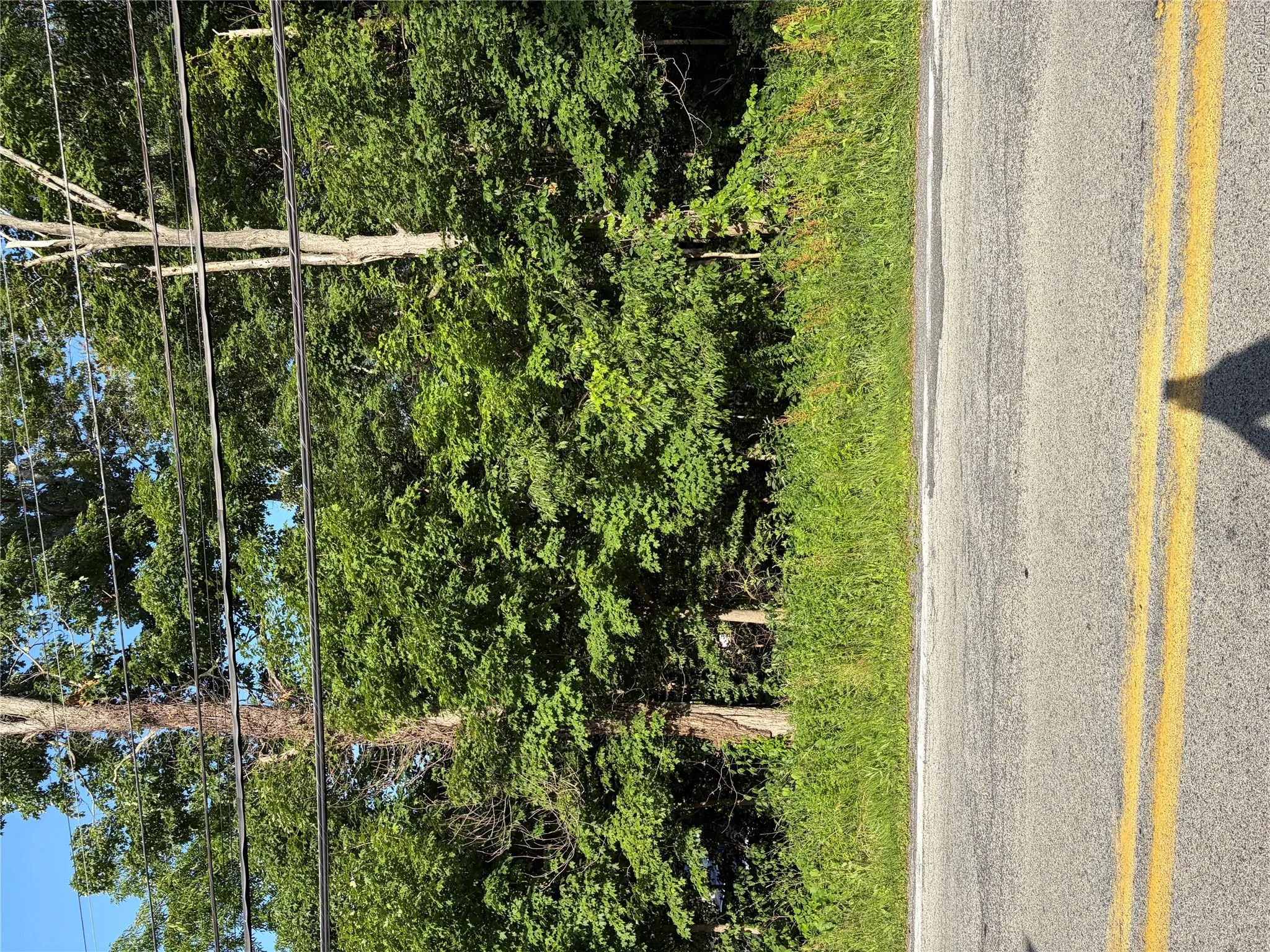 Wells Road, Newburgh (town), NY, ,Land,For Rent,Wells,0,981241 Wells Road, Newburgh (town), NY, ,Land,For Rent,Wells,0,981241