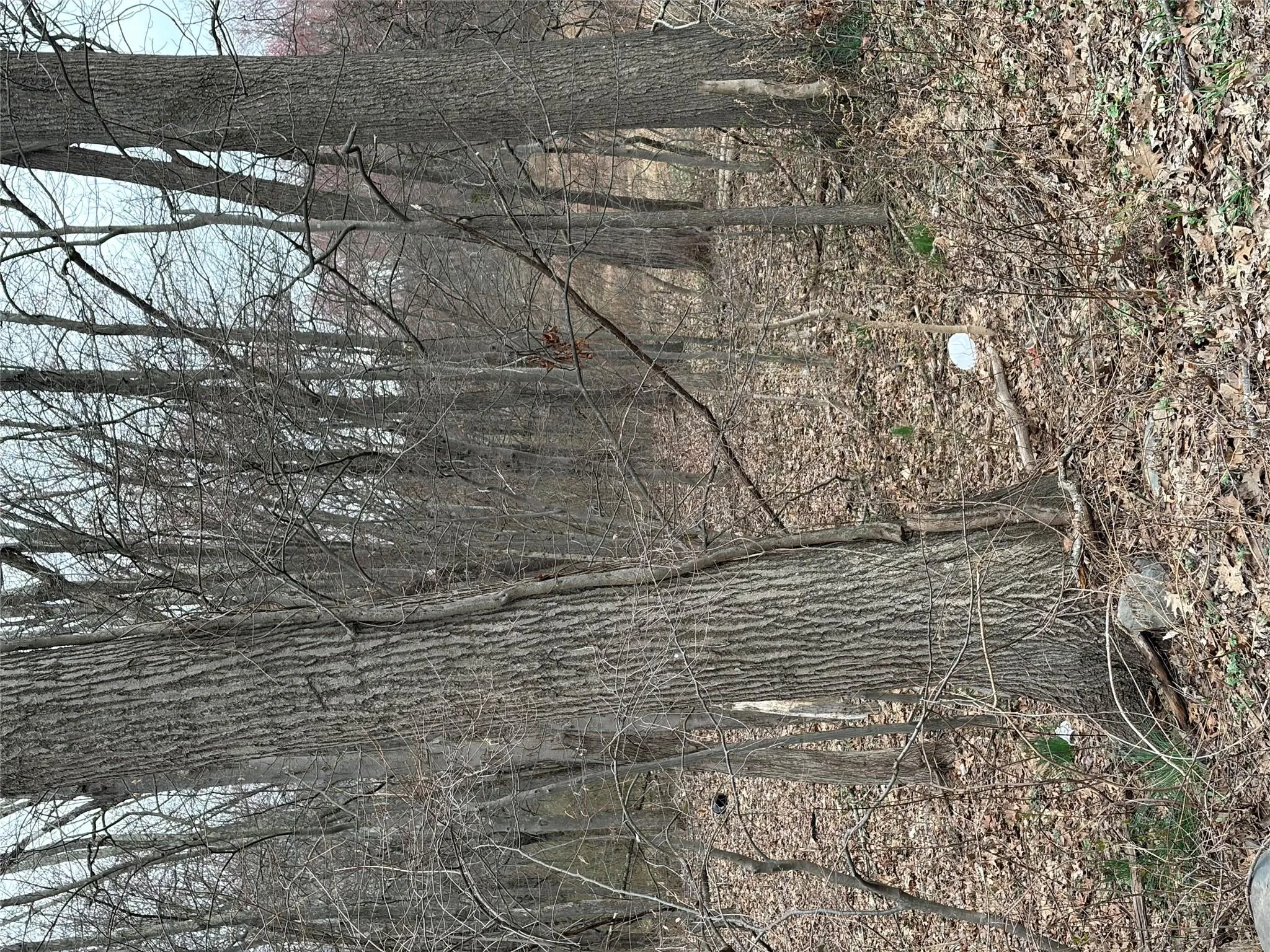 Wells Road, Newburgh (town), NY, ,Land,For Rent,Wells,0,981241 Wells Road, Newburgh (town), NY, ,Land,For Rent,Wells,0,981241