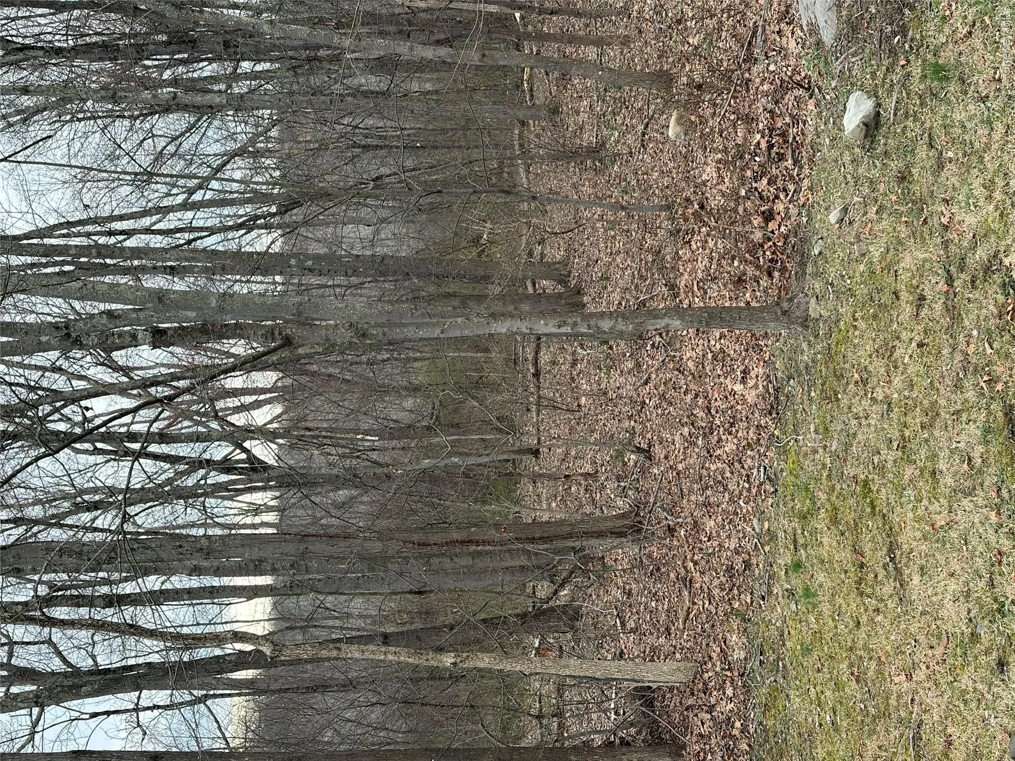 Wells Road, Newburgh (town), NY, ,Land,For Rent,Wells,0,981241 Wells Road, Newburgh (town), NY, ,Land,For Rent,Wells,0,981241