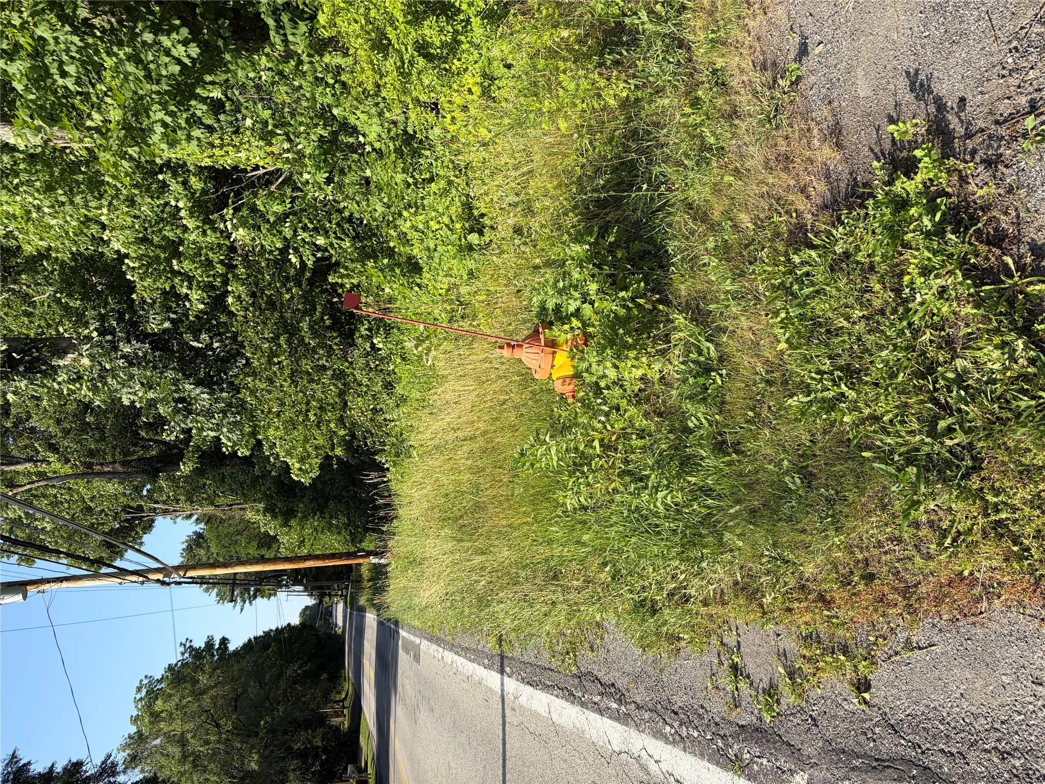 Wells Road, Newburgh (town), NY, ,Land,For Rent,Wells,0,981241 Wells Road, Newburgh (town), NY, ,Land,For Rent,Wells,0,981241