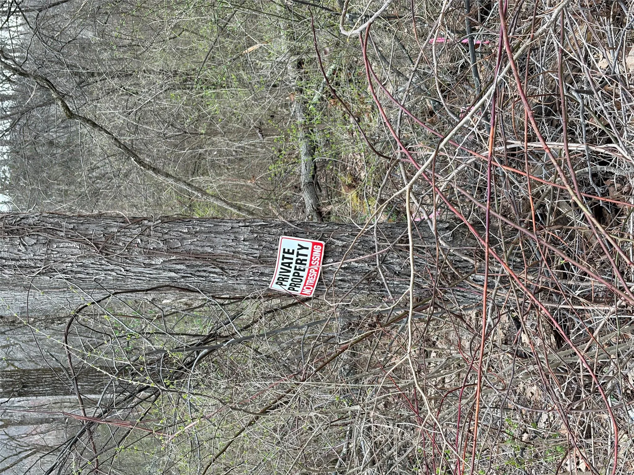 Wells Road, Newburgh (town), NY, ,Land,For Rent,Wells,0,981241 Wells Road, Newburgh (town), NY, ,Land,For Rent,Wells,0,981241