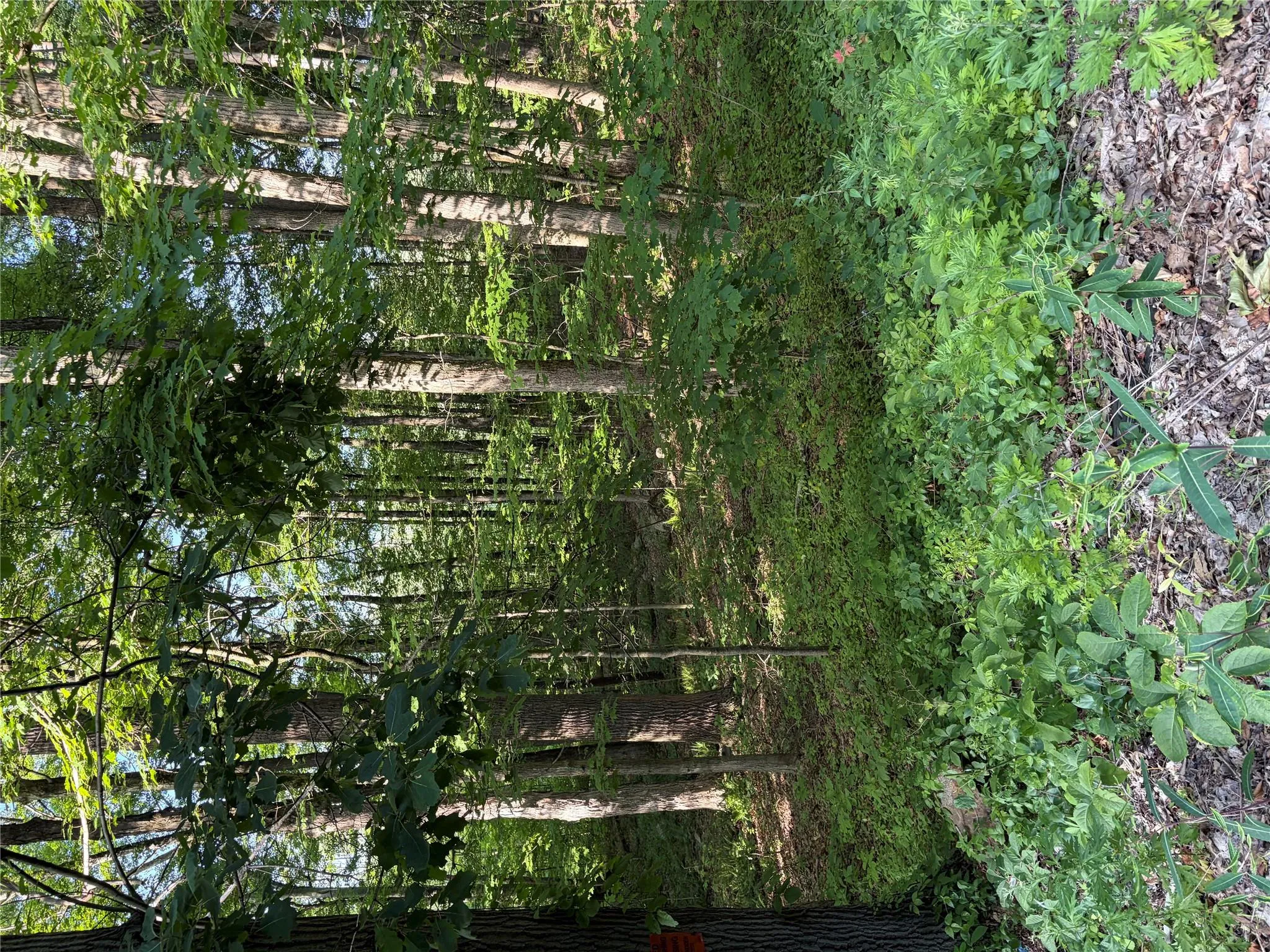 Wells Road, Newburgh (town), NY, ,Land,For Rent,Wells,0,981241 Wells Road, Newburgh (town), NY, ,Land,For Rent,Wells,0,981241