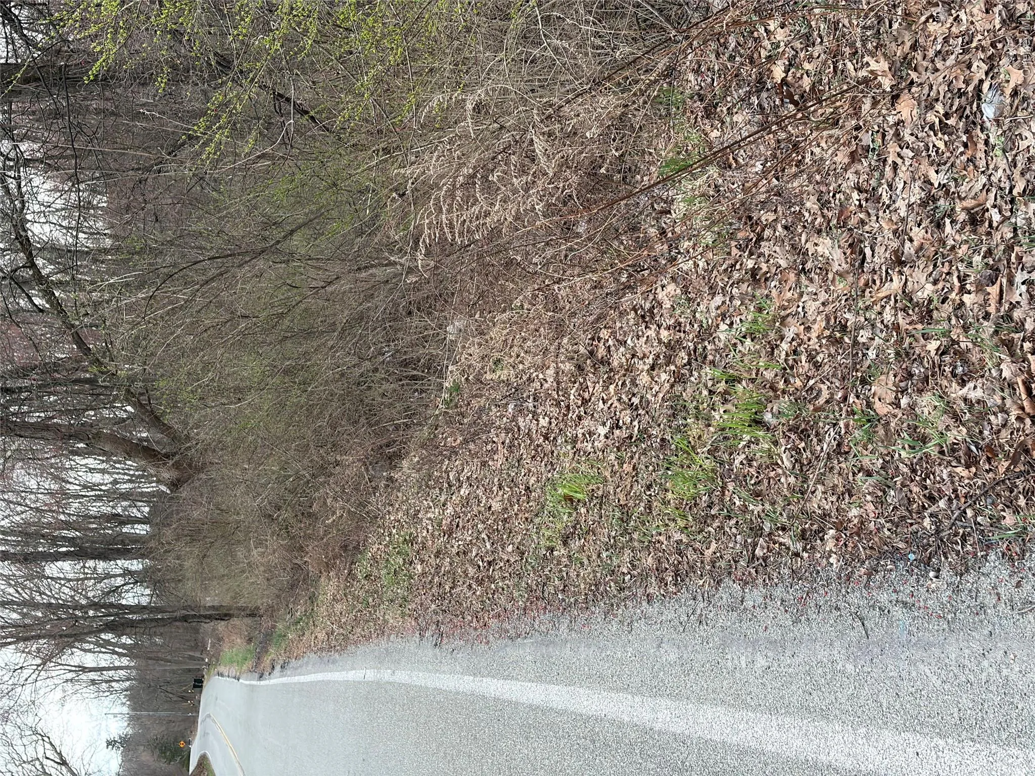 Wells Road, Newburgh (town), NY, ,Land,For Rent,Wells,0,981241 Wells Road, Newburgh (town), NY, ,Land,For Rent,Wells,0,981241