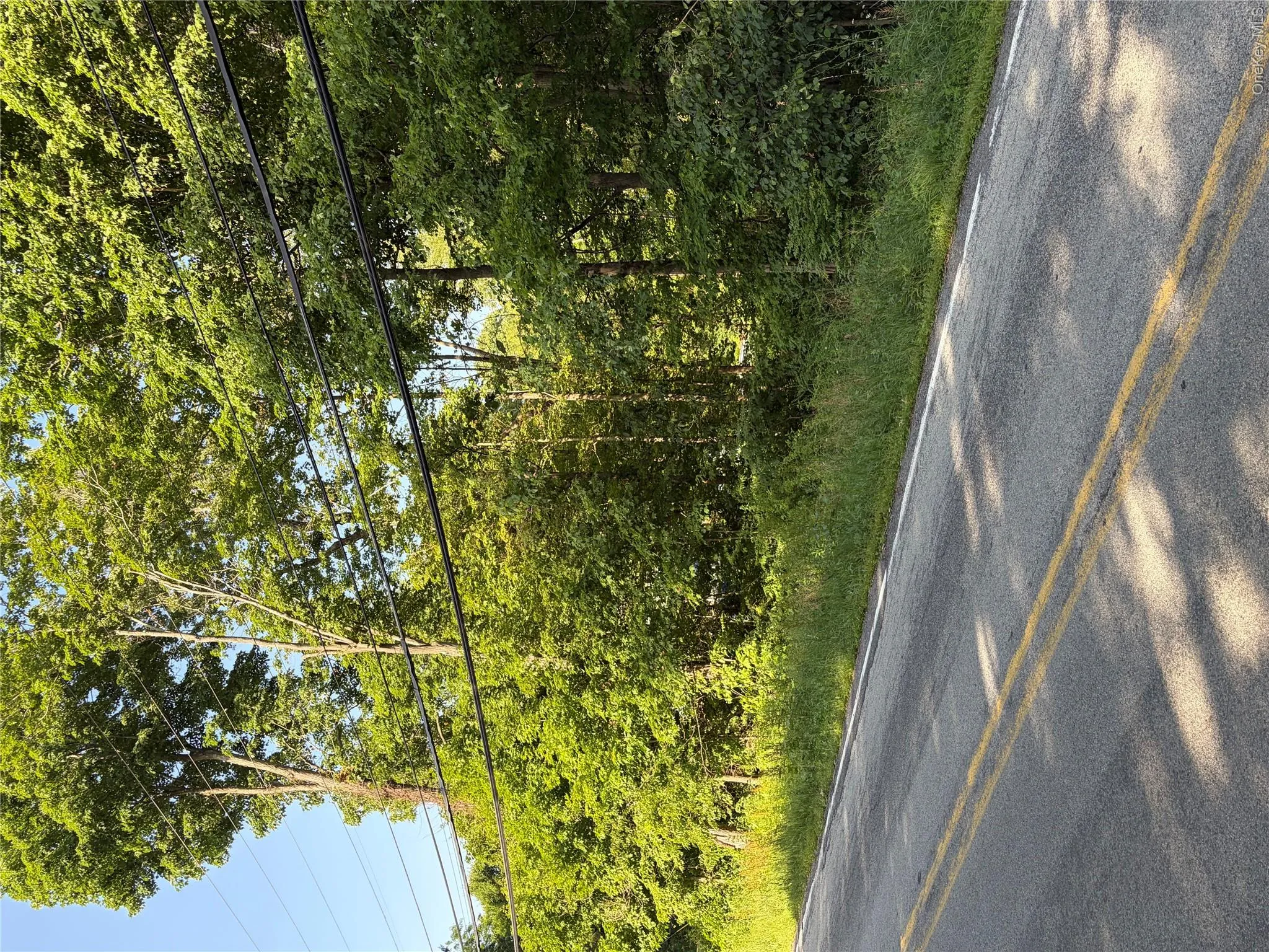 Wells Road, Newburgh (town), NY, ,Land,For Rent,Wells,0,981241 Wells Road, Newburgh (town), NY, ,Land,For Rent,Wells,0,981241