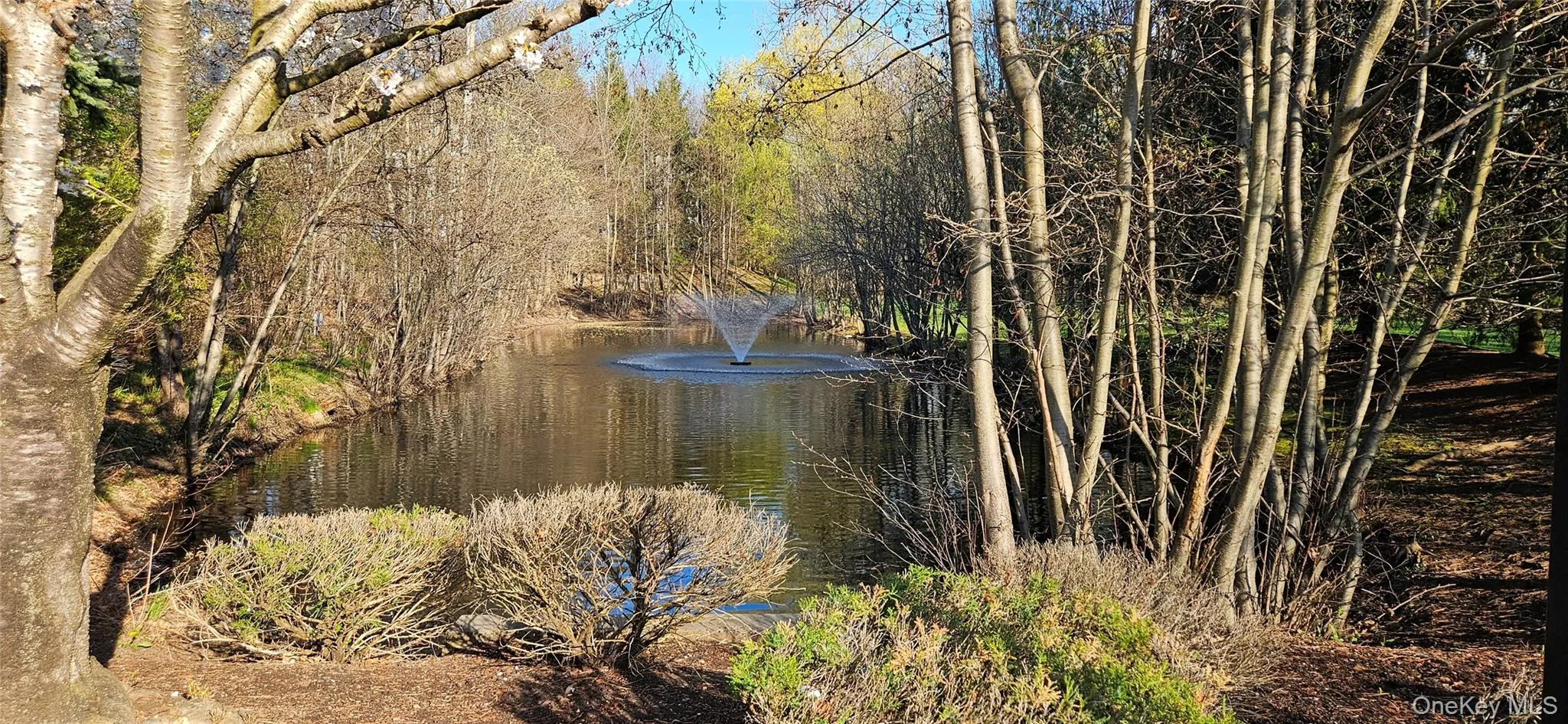 24 De Baun Avenue, Ramapo, NY, 2 Bedrooms Bedrooms, 6 Rooms Rooms,2 BathroomsBathrooms,Residential,For Rent,De Baun,0,KEY981251 24 De Baun Avenue, Ramapo, NY, 2 Bedrooms Bedrooms, 6 Rooms Rooms,2 BathroomsBathrooms,Residential,For Rent,De Baun,0,KEY981251