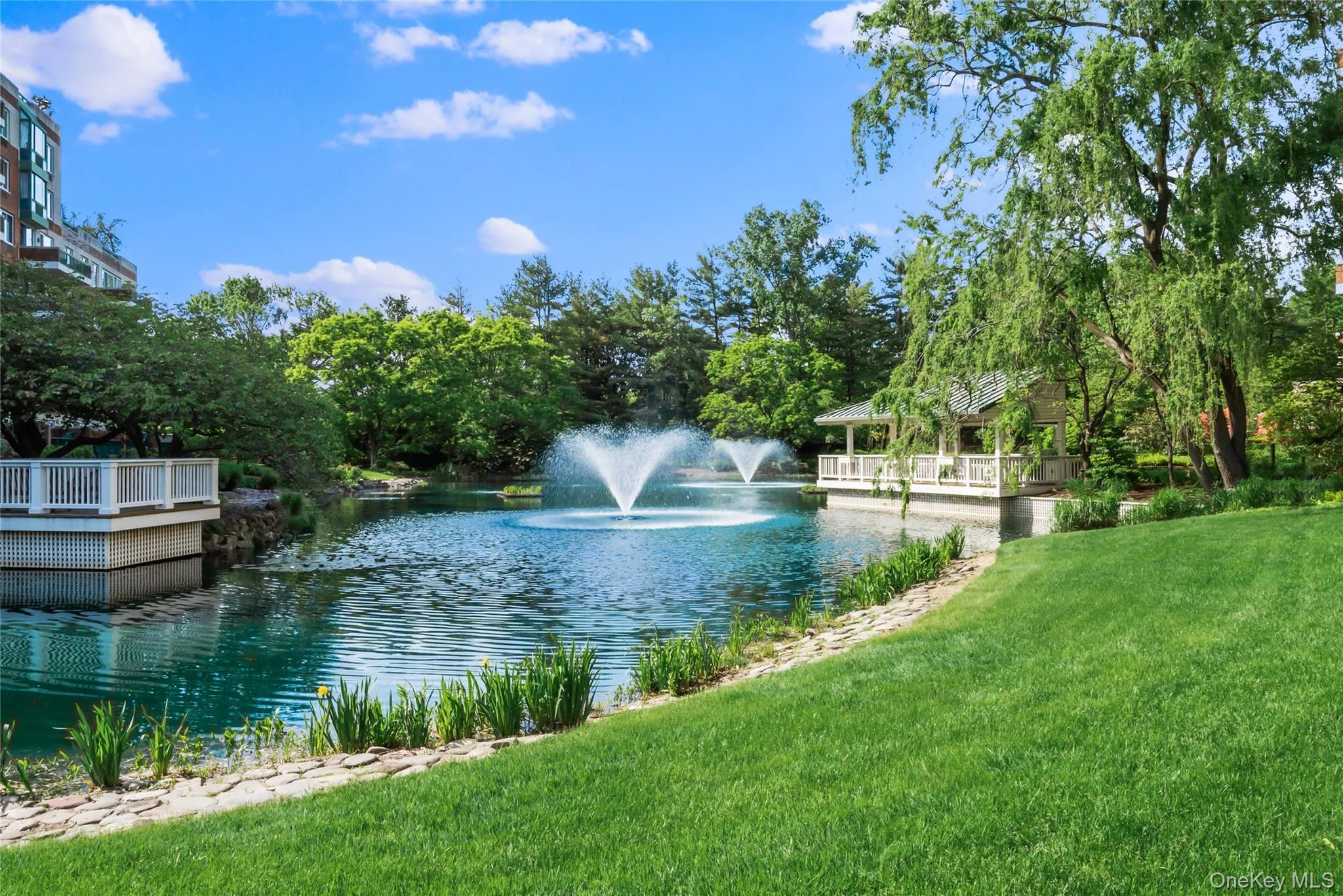 Pond Pond